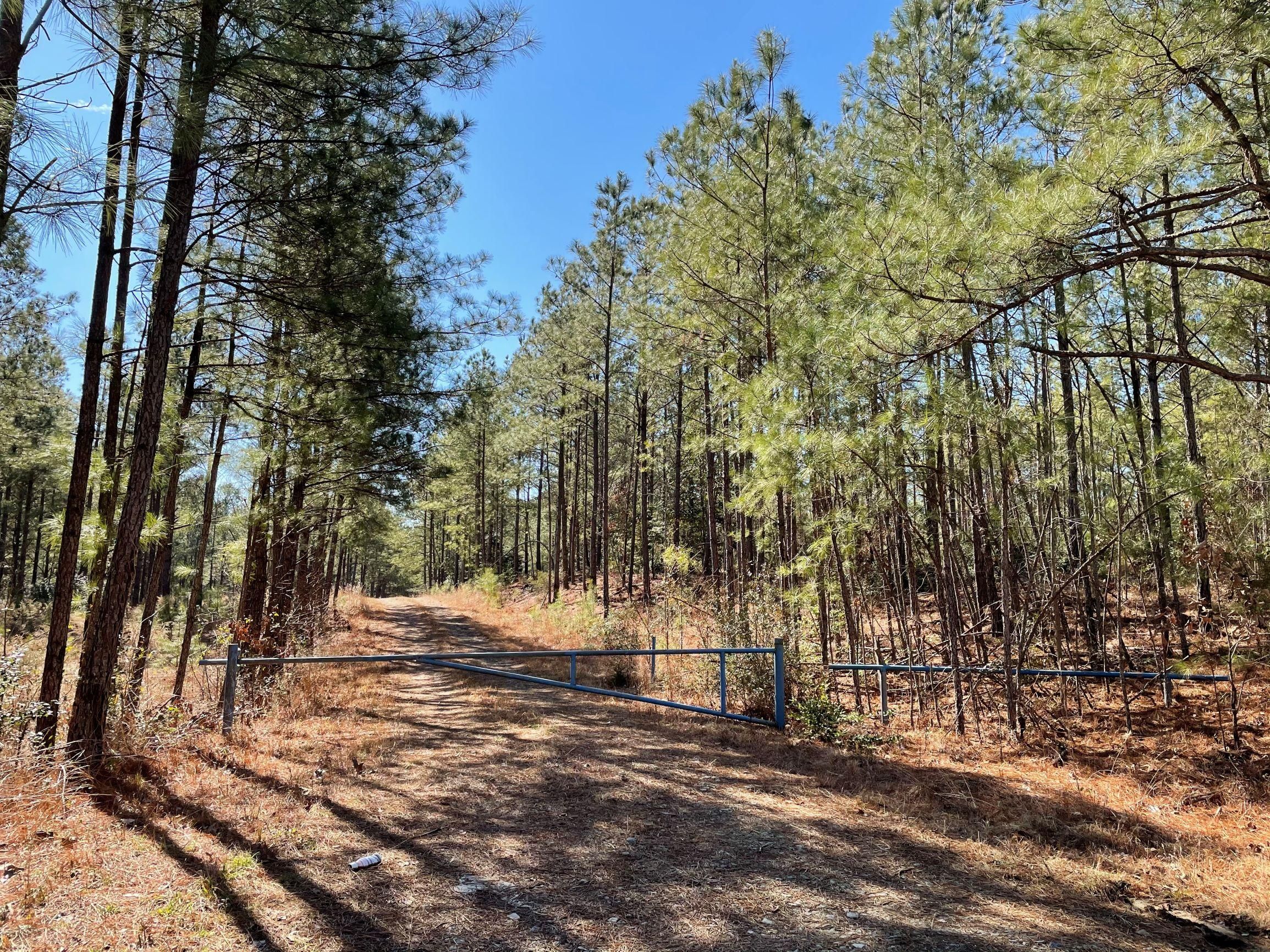 Little Texas Road (653), Little Texas, VA 23828 MLS B154 Azalea Comp