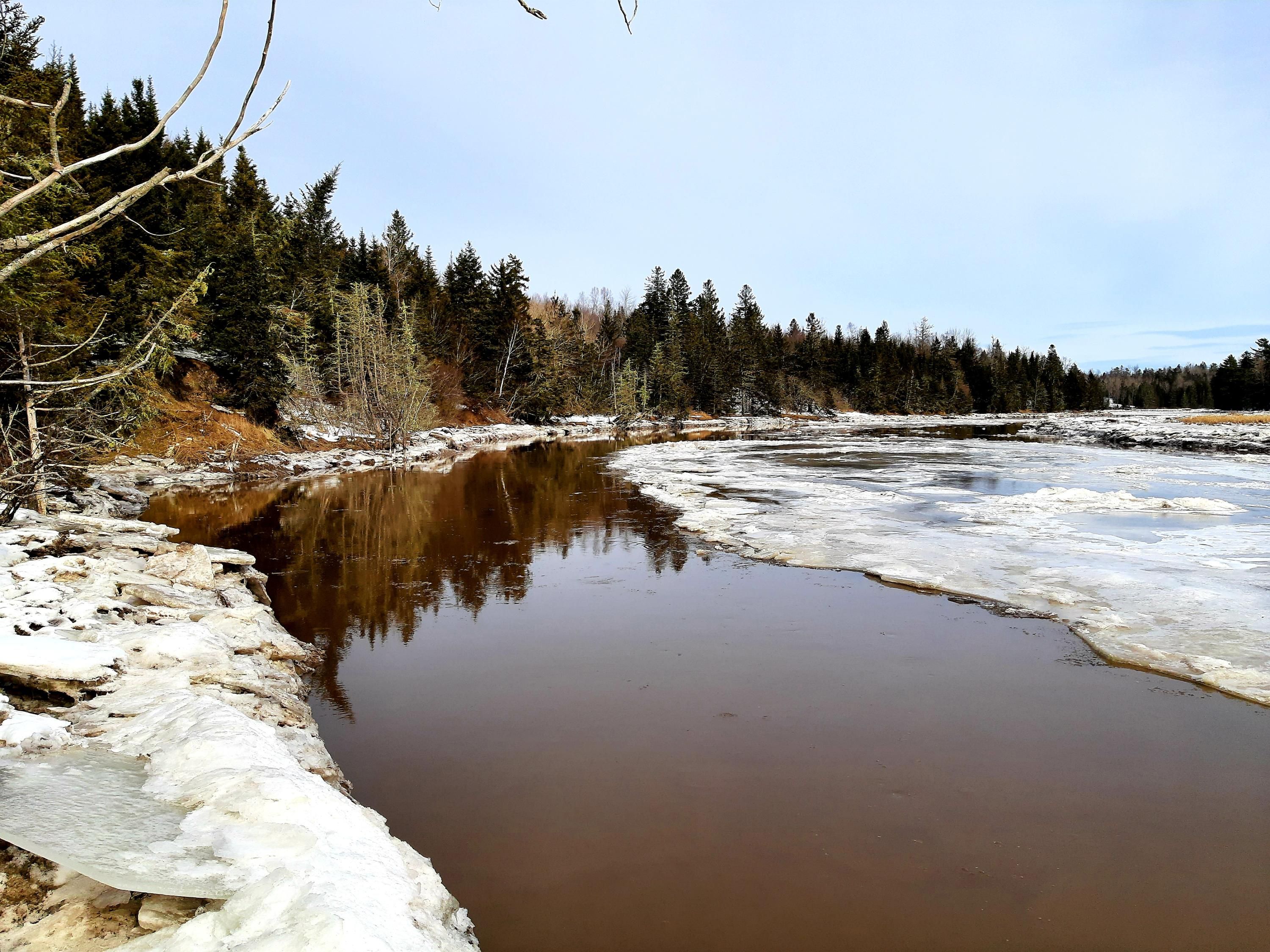 Columbia Falls, Washington County, ME Undeveloped Land, Lakefront