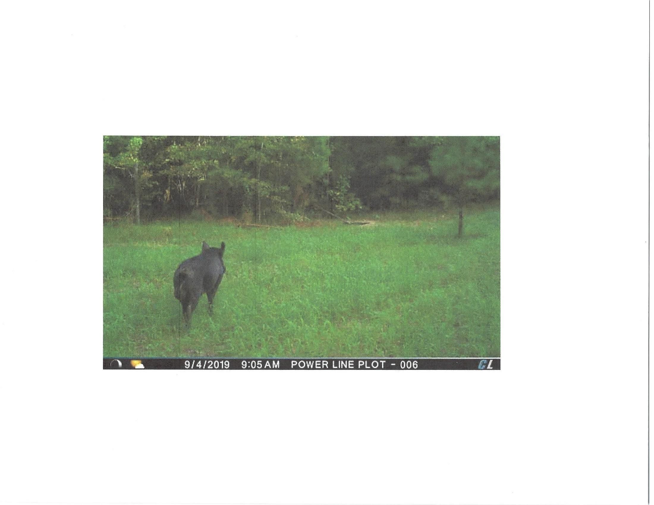 Toomsboro, Wilkinson County, GA Recreational Property, Timberland