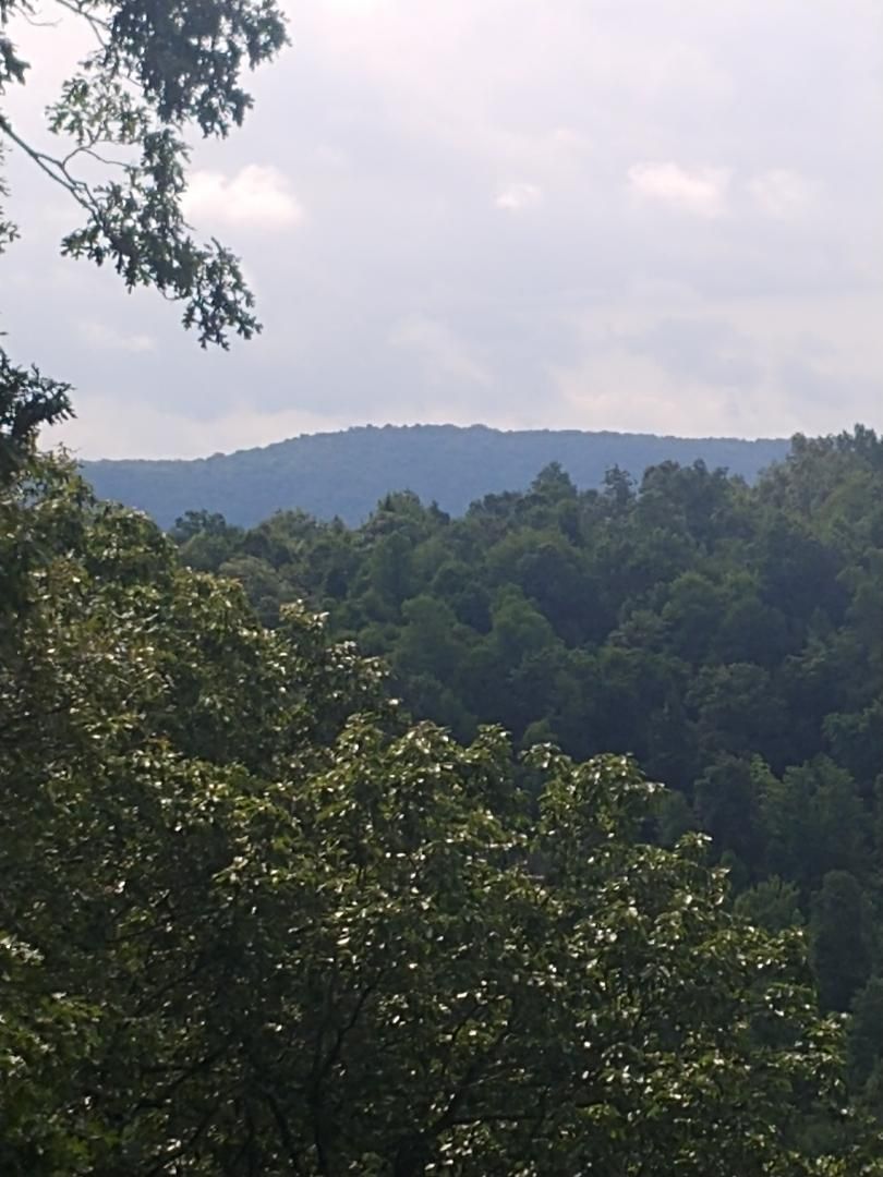 Helenwood, Scott County, TN Undeveloped Land for sale Property ID