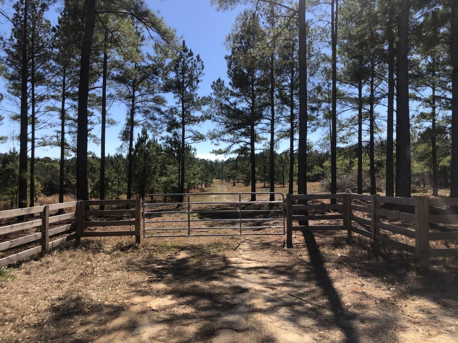 Concord, Pike County, GA Recreational Property, Undeveloped Land for