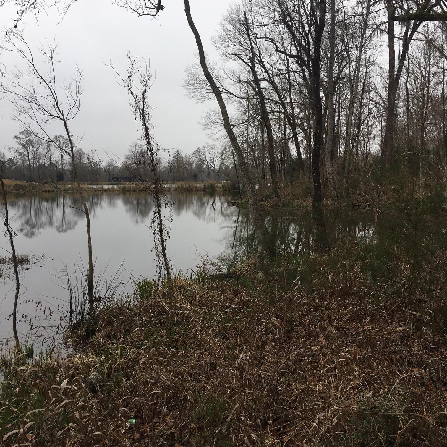 Camden, Wilcox County, AL Recreational Property, Undeveloped Land