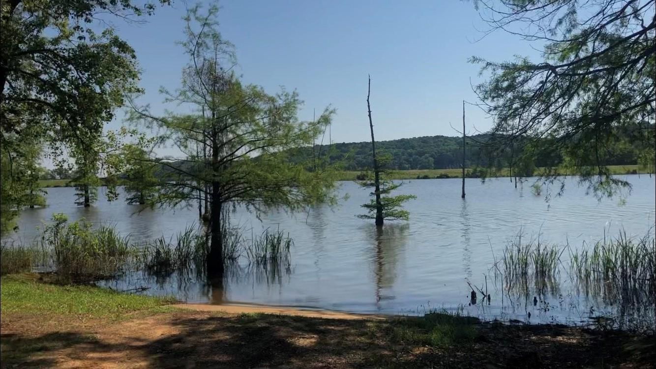 92.88 acres in Downsville, LA, 71234 LandWatch