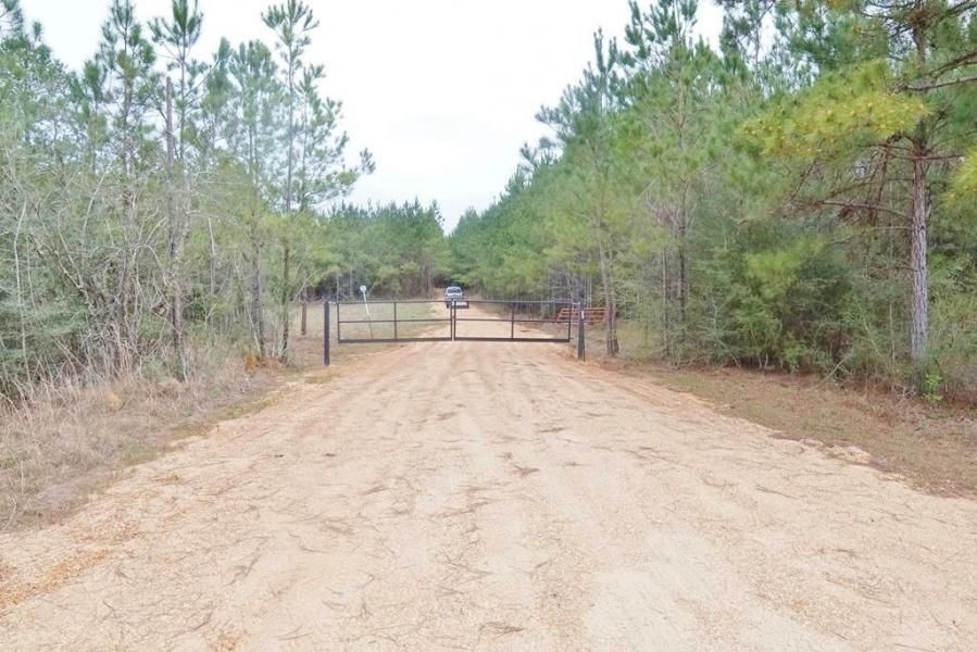 375 Hammond Rd, Oak Vale, MS 39656 LandWatch