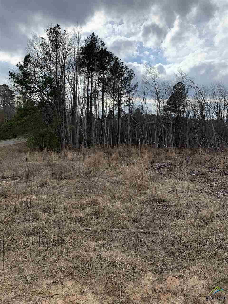 Hughes Springs, Cass County, TX Recreational Property, Undeveloped Land
