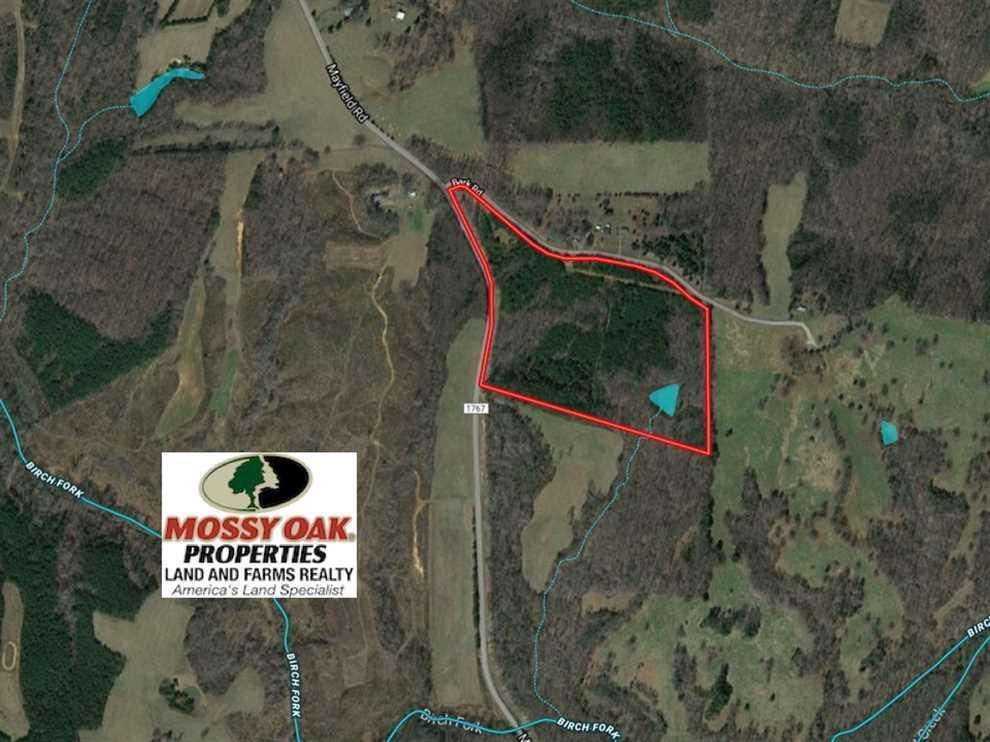 Ruffin, Rockingham County, NC Recreational Property, Hunting Property