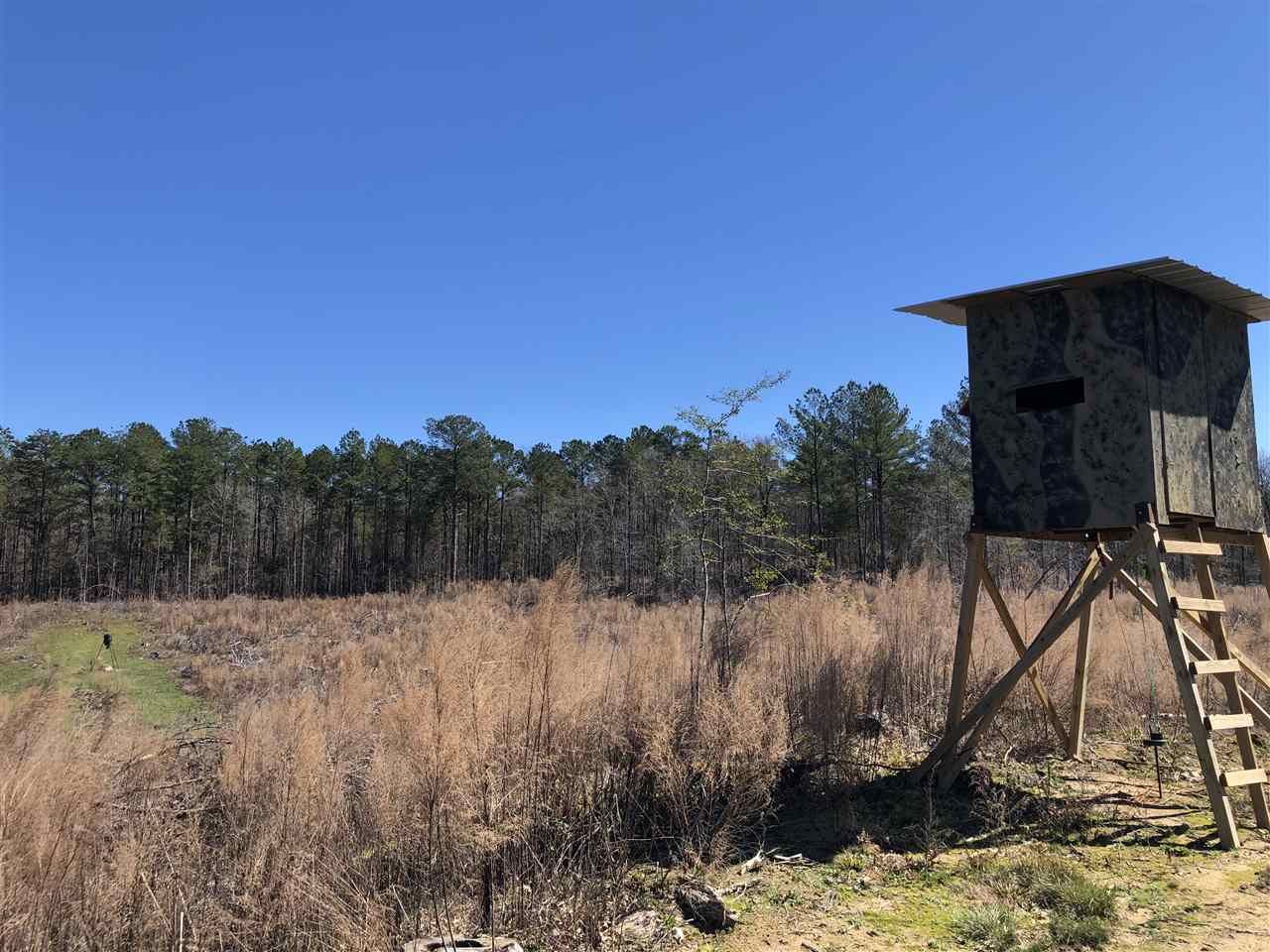 Sallis, Attala County, MS Undeveloped Land for sale Property ID