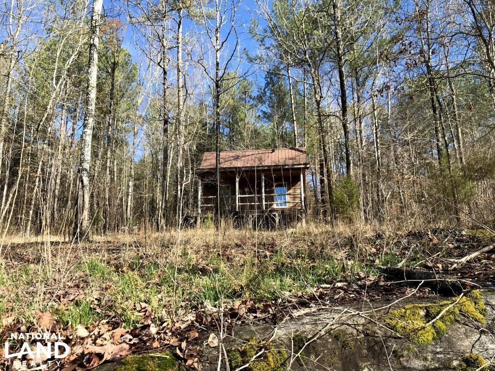 Talbotton, Talbot County, GA Recreational Property, Timberland Property, Hunting Property for