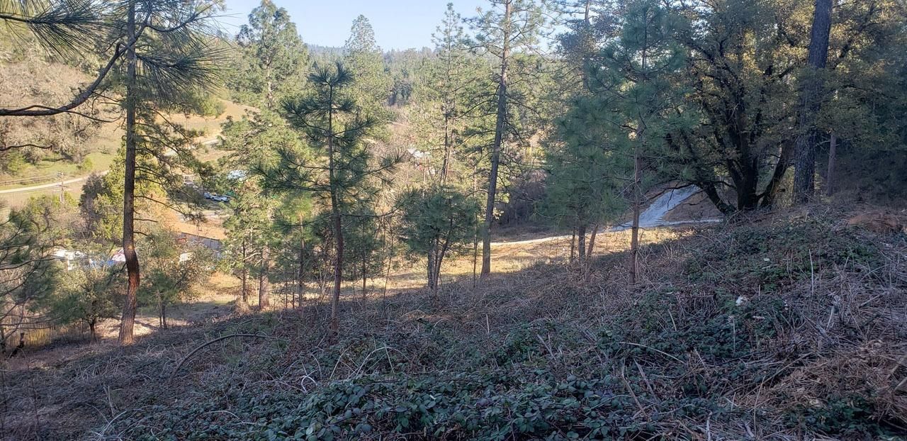 Greenwood, El Dorado County, CA Undeveloped Land for sale Property ID