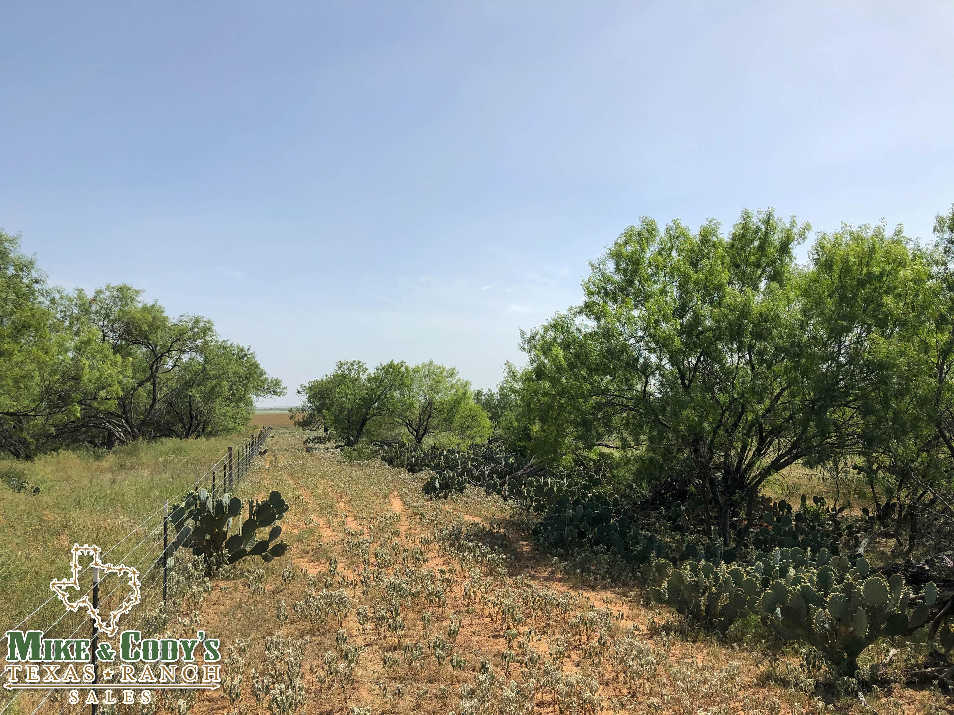 Charlotte, Atascosa County, TX Farms and Ranches, Recreational Property