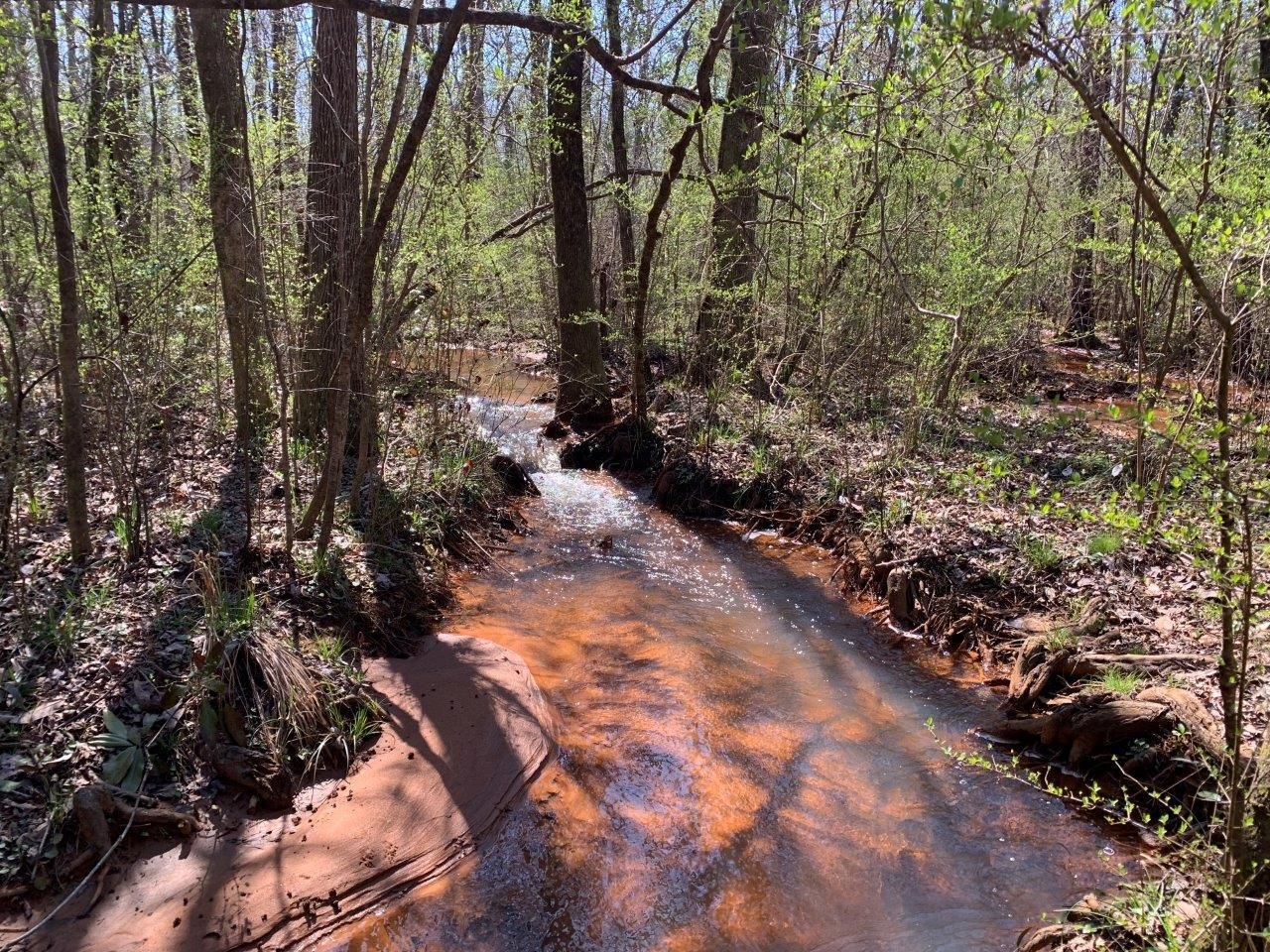New Brockton, Coffee County, AL Recreational Property, Timberland