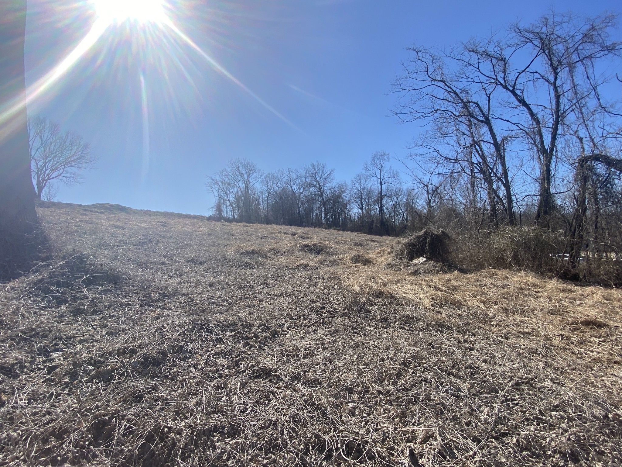 Clarksville, Montgomery County, TN Undeveloped Land, Homesites for sale