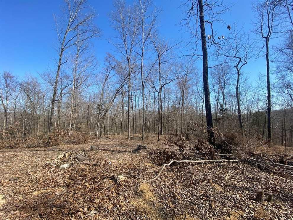 Patterson, Wayne County, MO Recreational Property, Undeveloped Land for