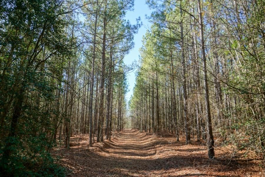 114 acres in Aiken, SC, 29801 LandWatch