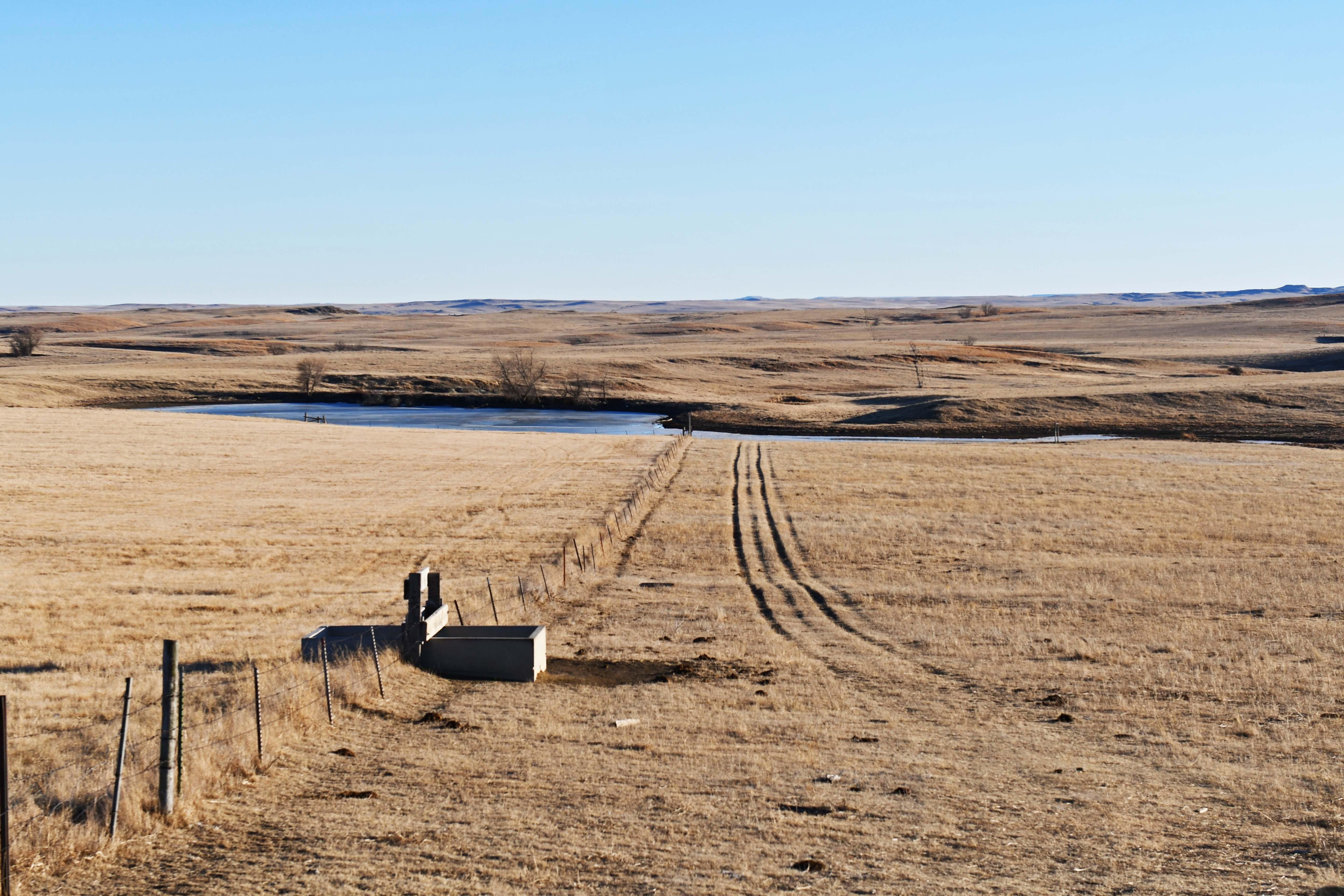 Bison, Perkins County, SD Farms and Ranches, Hunting Property for sale