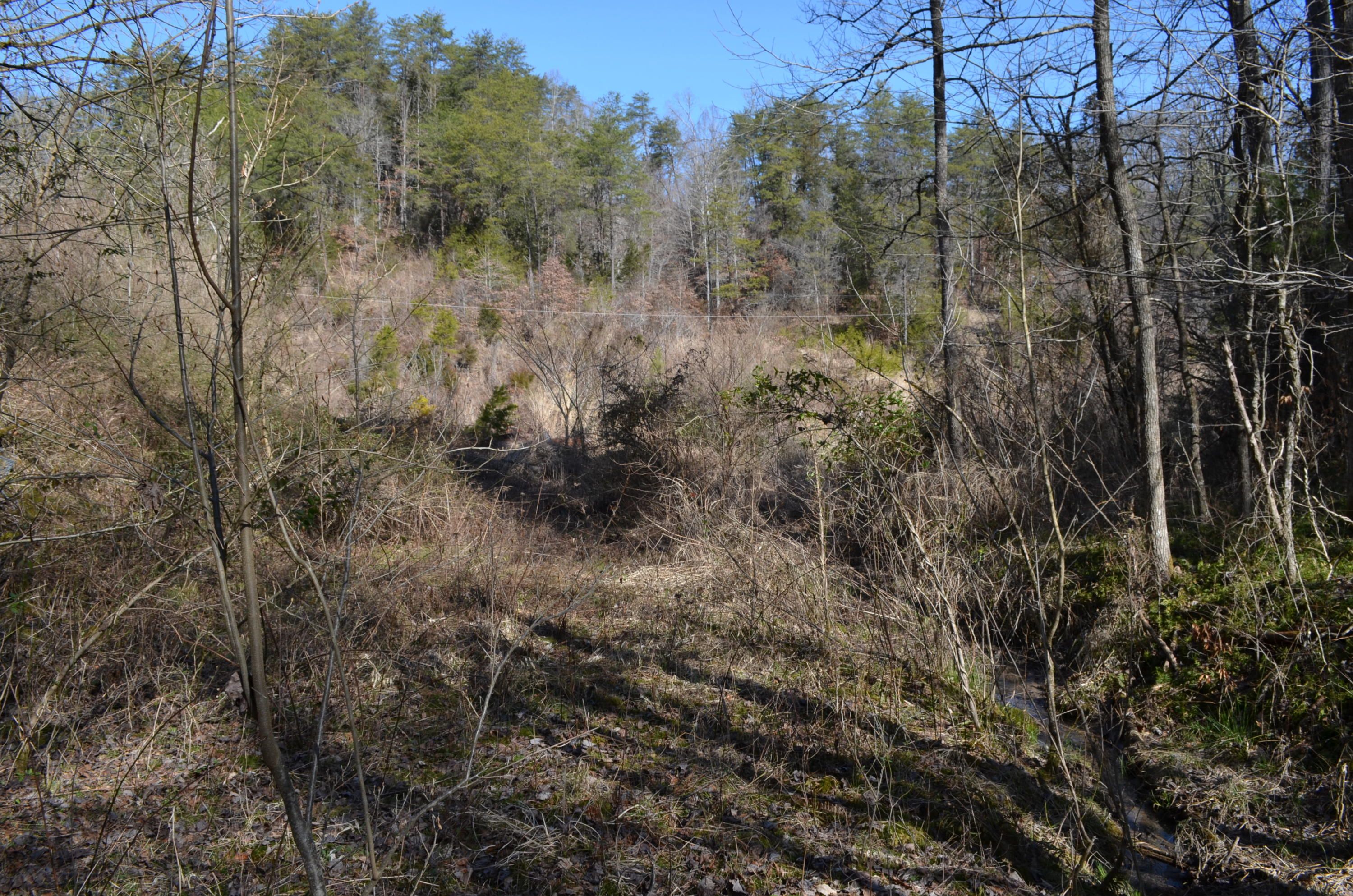 Blackwater, Lee County, VA Undeveloped Land for sale Property ID