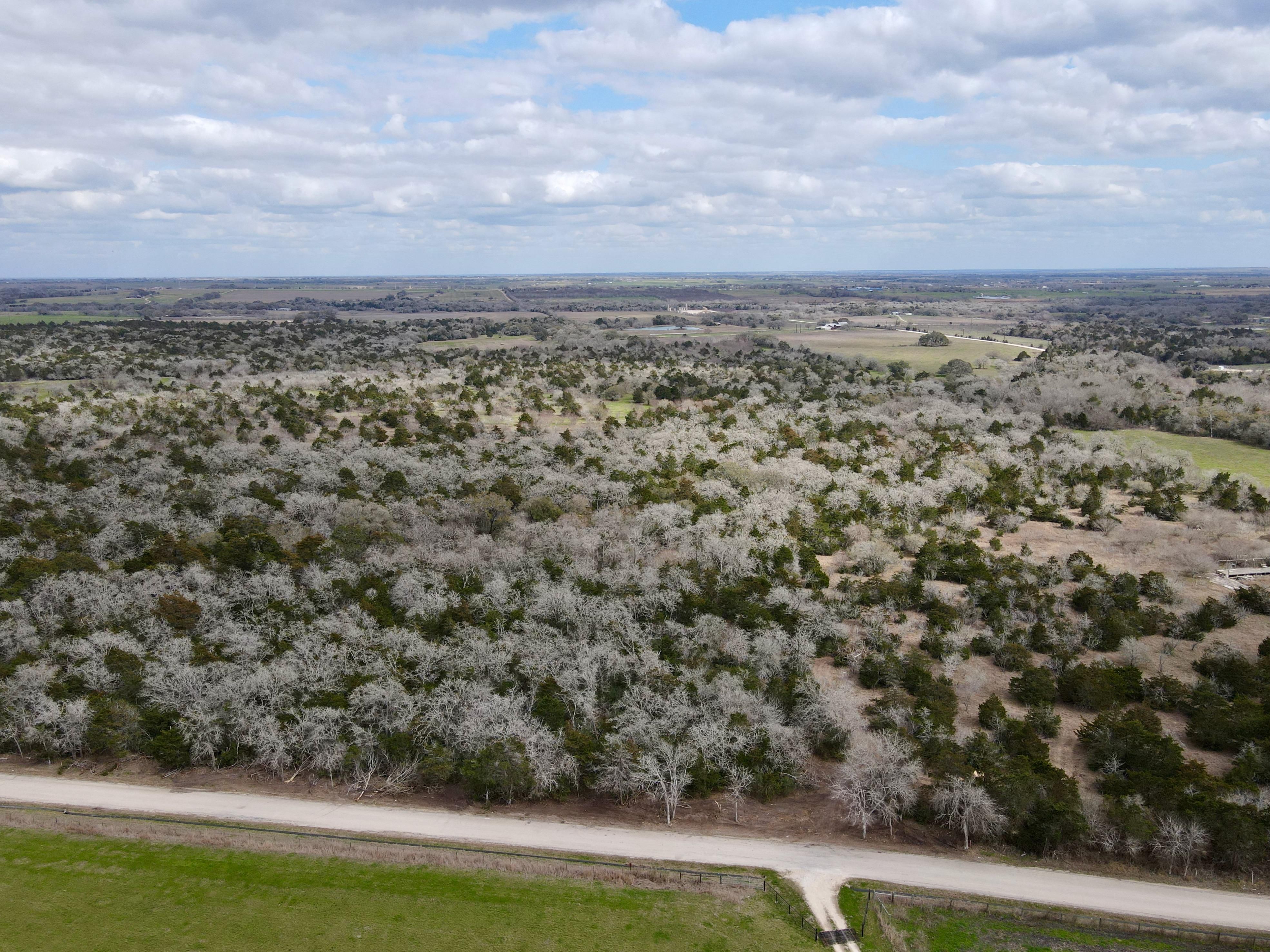 Flatonia, Lavaca County, TX Recreational Property, Undeveloped Land for