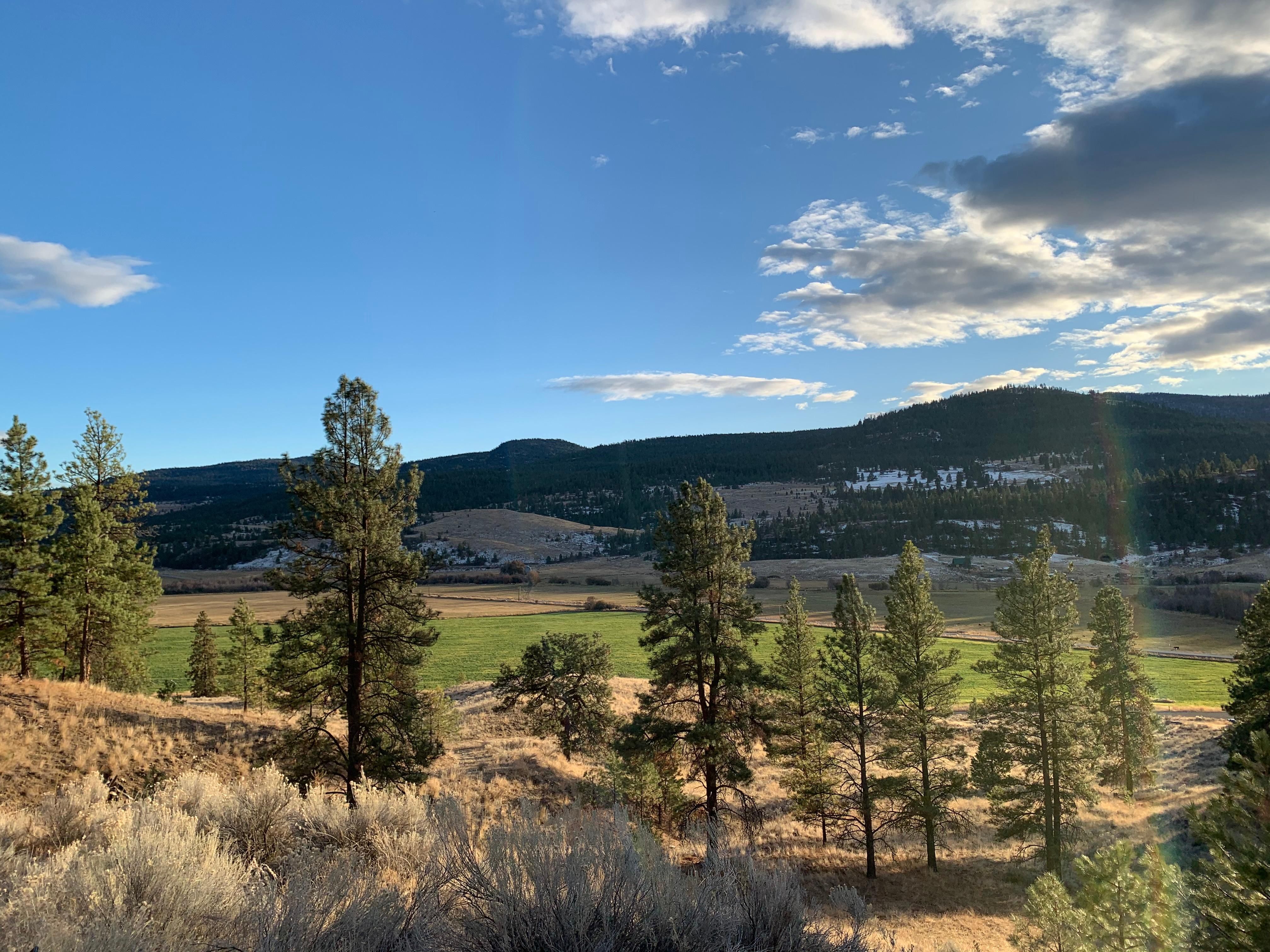 Tonasket, Okanogan County, WA Recreational Property, Undeveloped Land