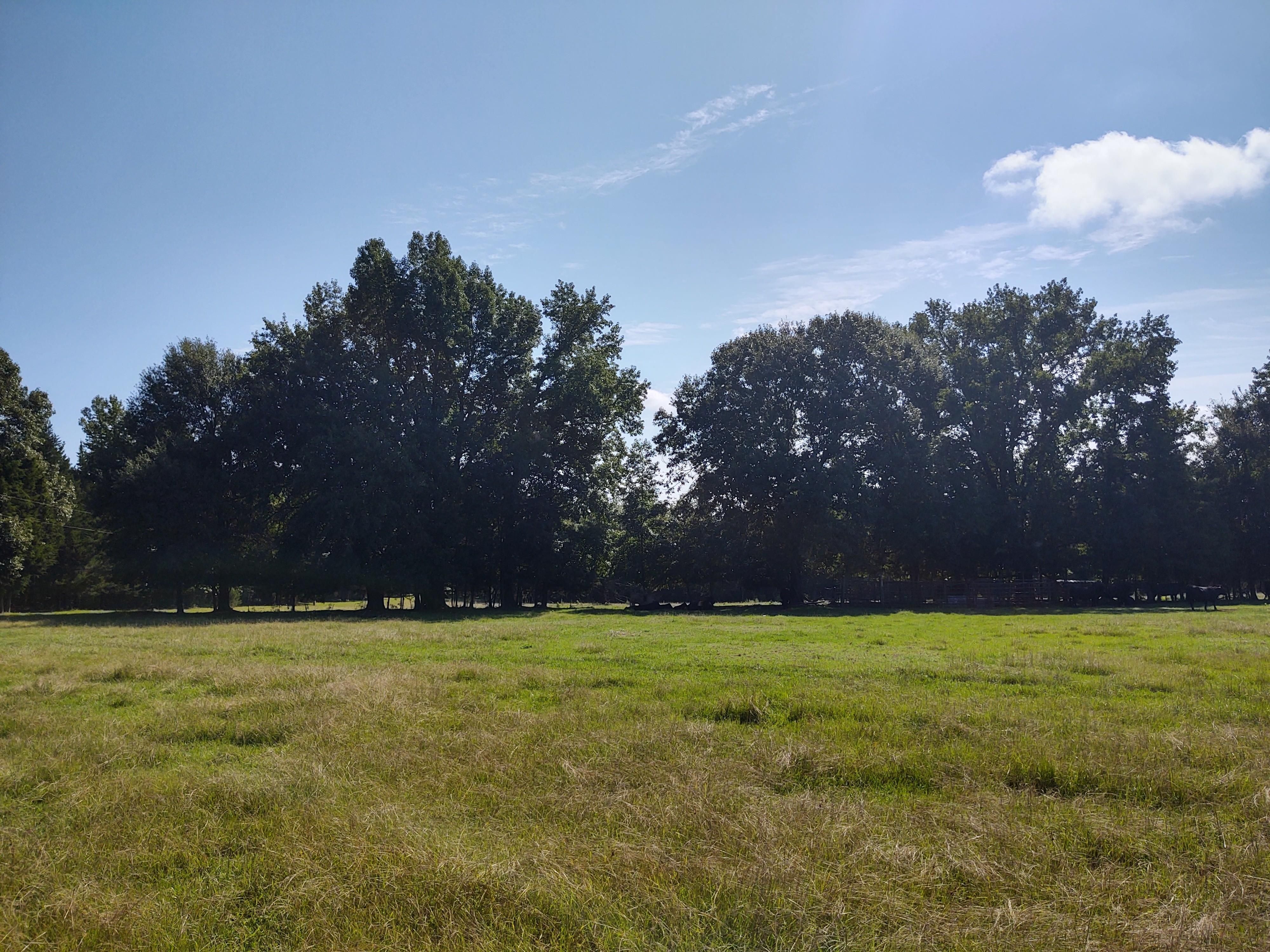 Spencerville, Choctaw County, OK Farms and Ranches, Recreational