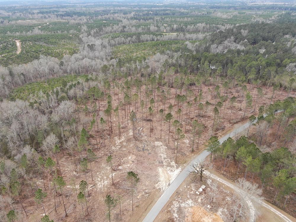 Ovett, Perry County, MS Recreational Property for sale Property ID