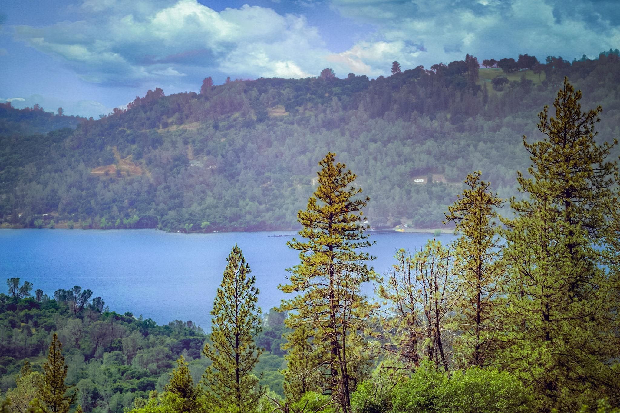 Begonia Way, Browns Valley, CA 95918 MLS 221012131 LandWatch