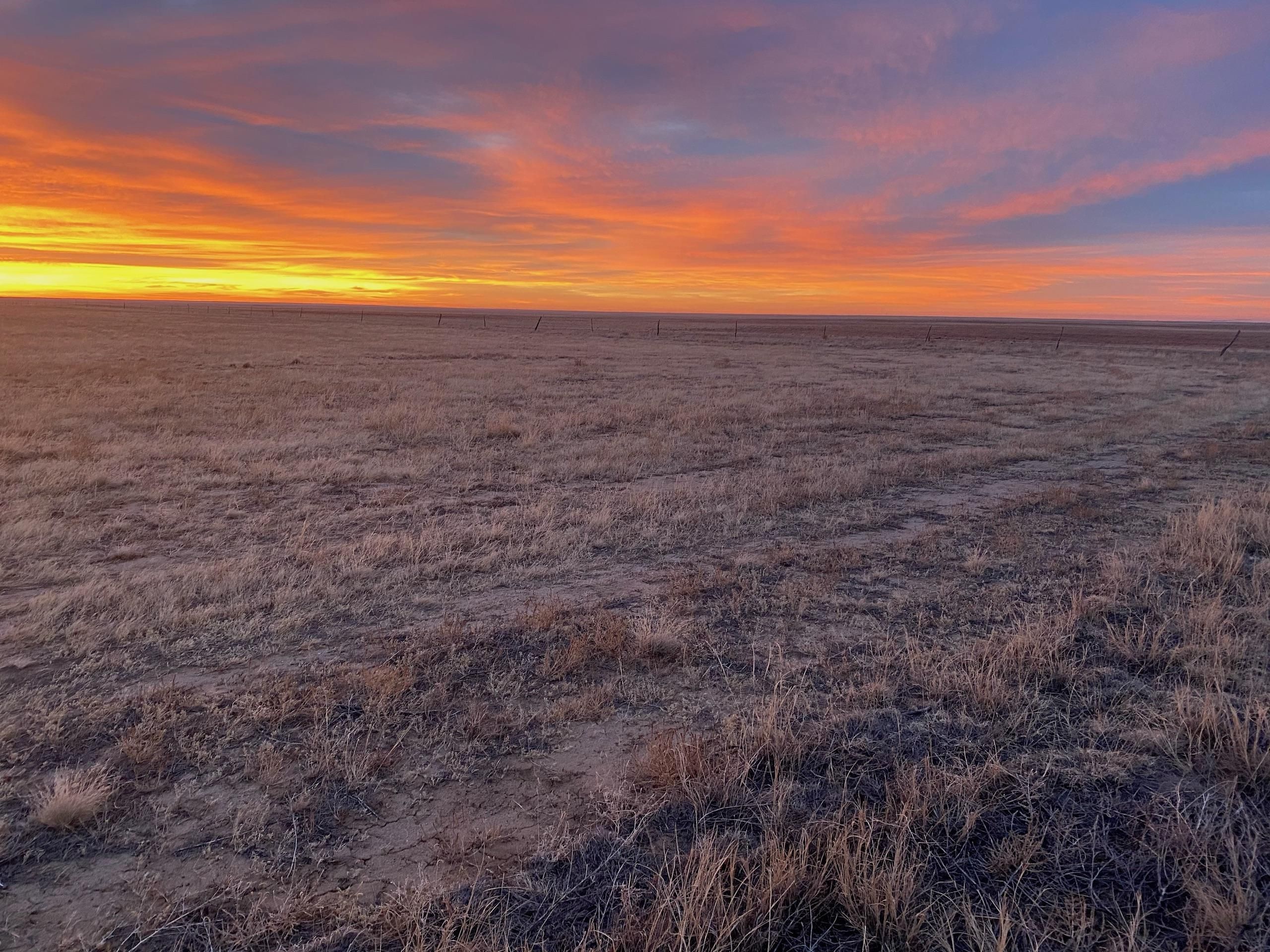 Rush, Lincoln County, CO Farms and Ranches, Hunting Property for sale
