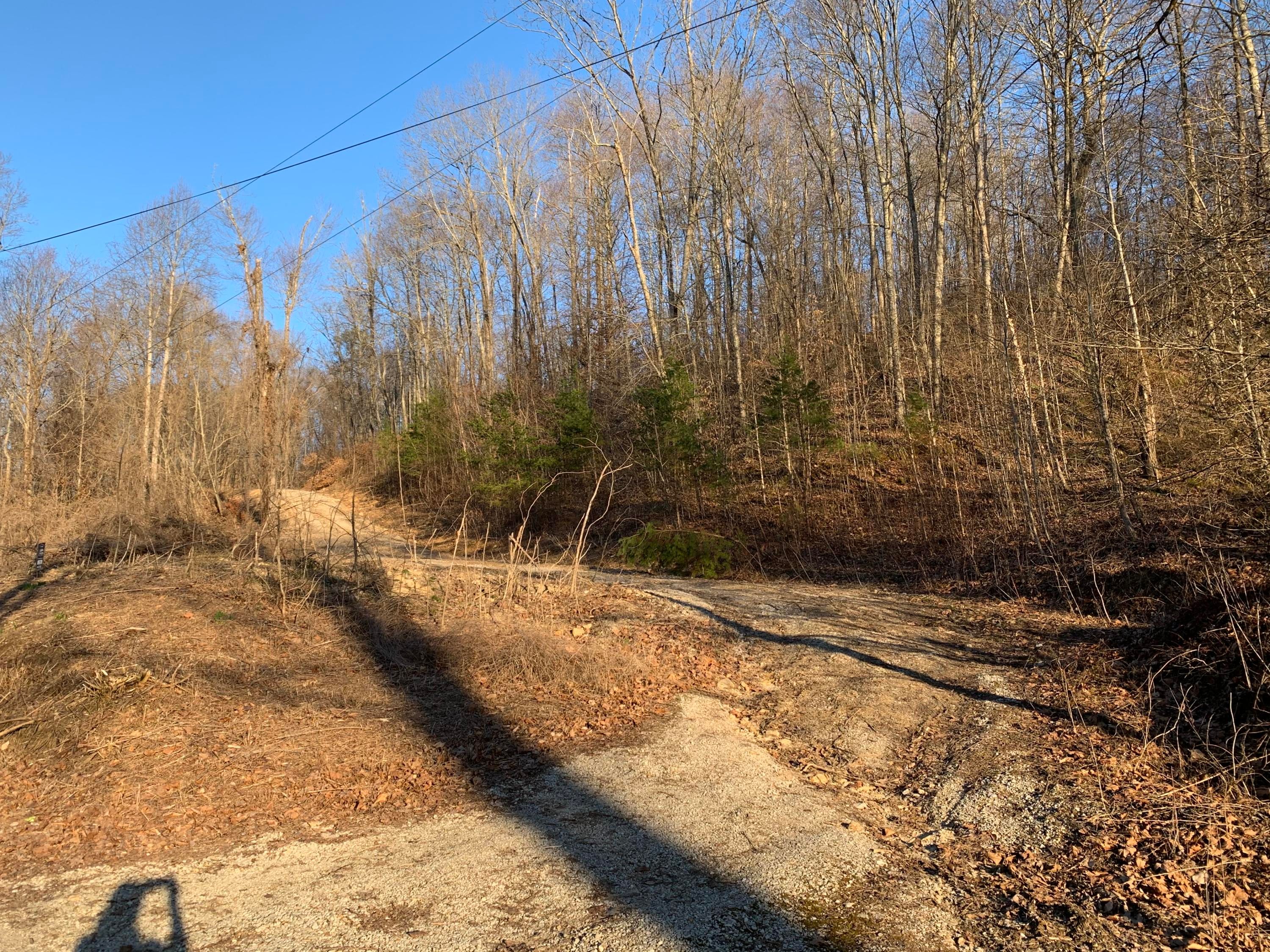 Campbell County, TN Undeveloped Land for sale Property ID