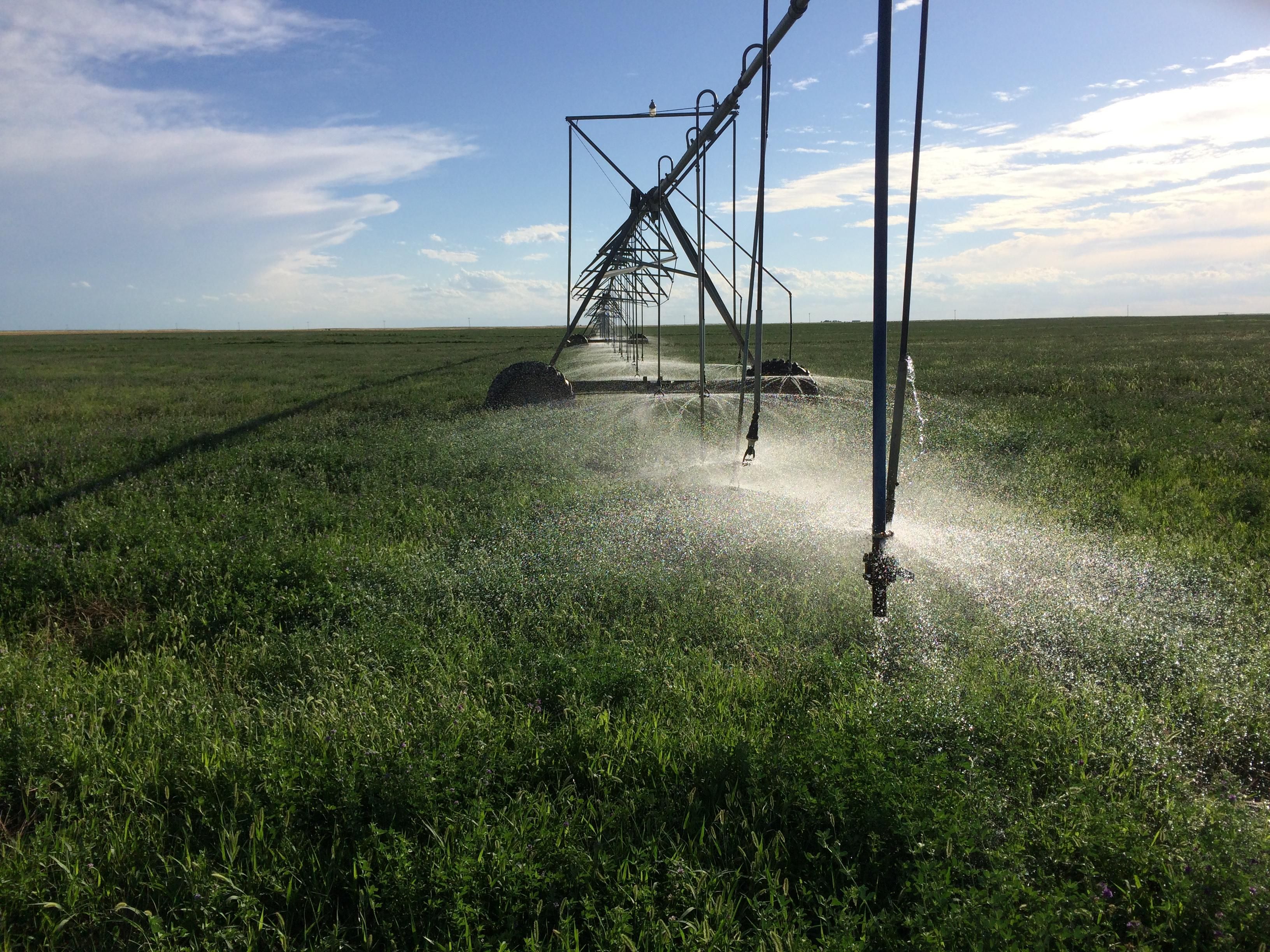 Springfield, Baca County, CO Farms and Ranches for sale Property ID 409688250 LandWatch