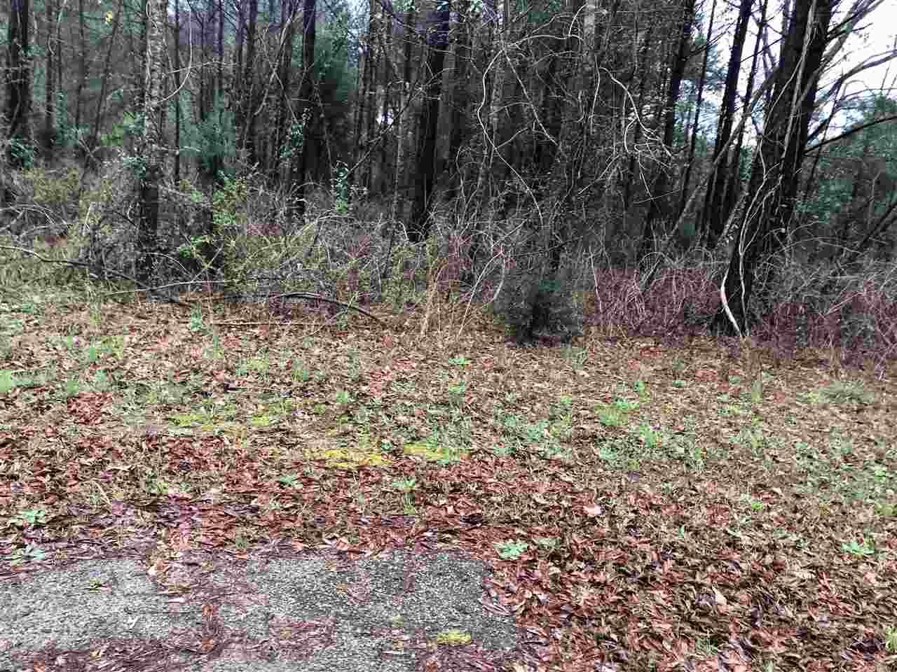 Dry Branch, Twiggs County, GA Undeveloped Land for sale Property ID