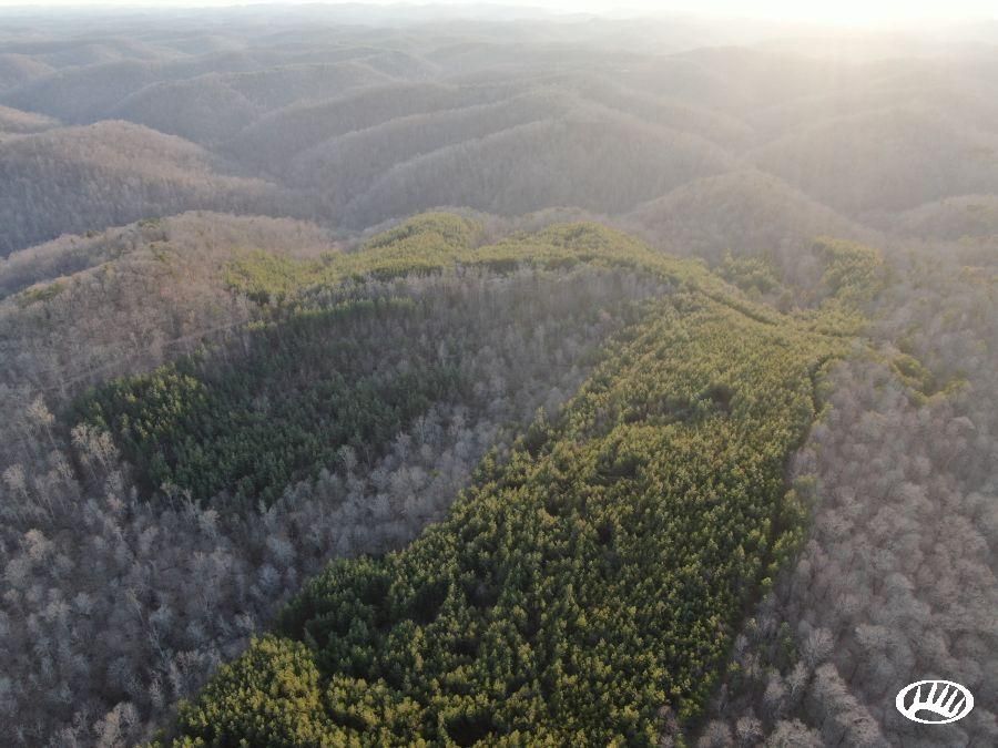 Macfarlan, Ritchie County, WV Timberland Property, Hunting Property for
