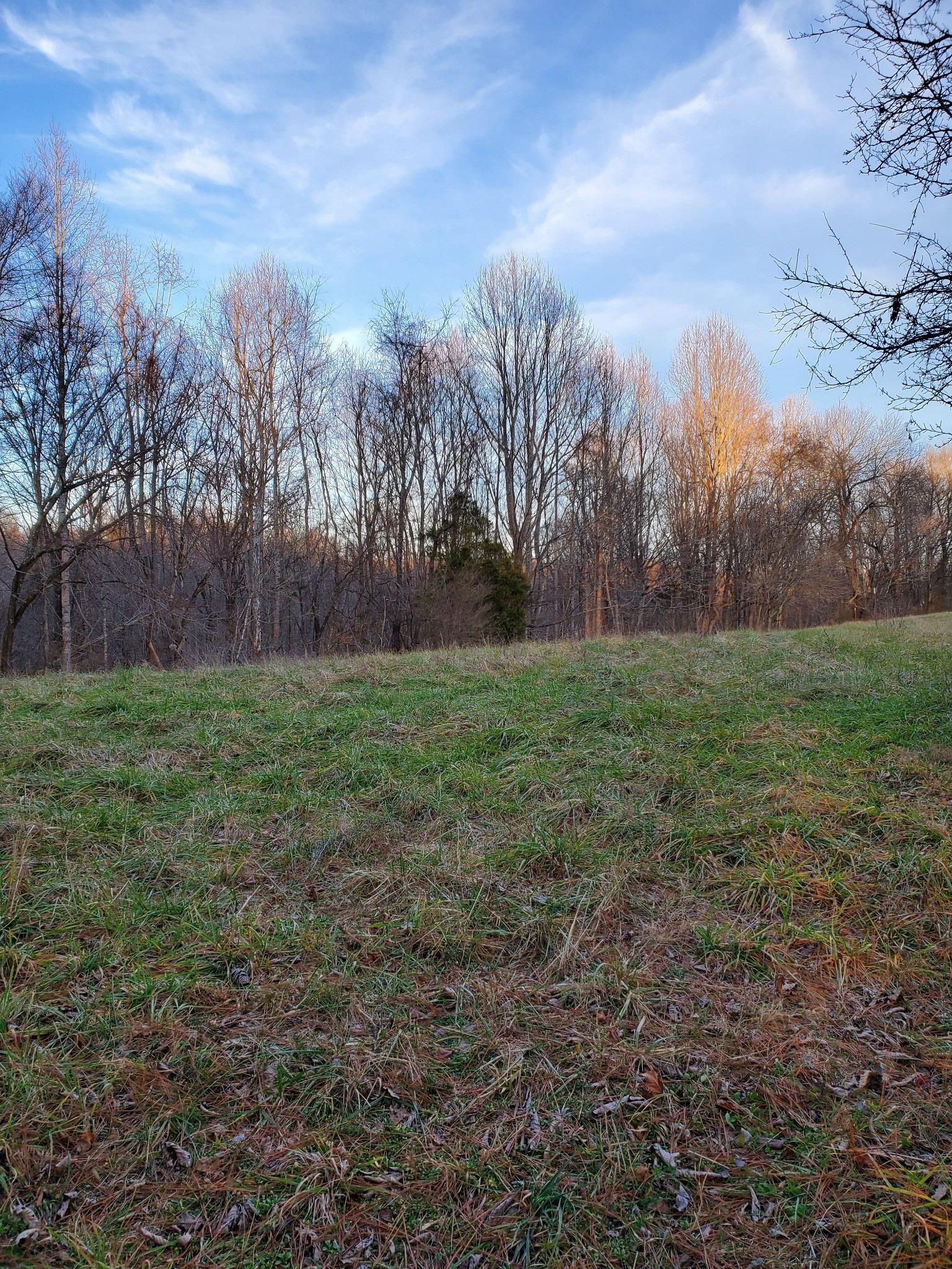 Manchester, Coffee County, TN Farms and Ranches, Undeveloped Land for