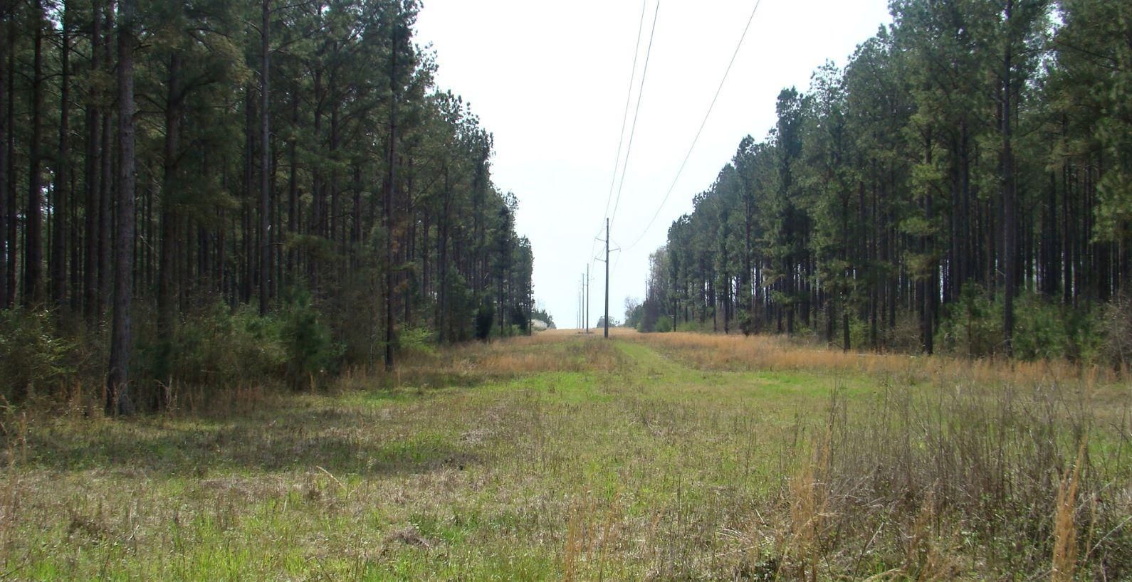 Blakely, Early County, GA Recreational Property, Timberland Property