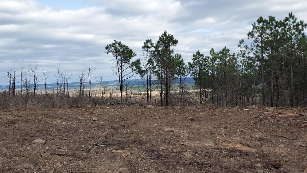 Rattan, Pushmataha County, OK Recreational Property, Timberland