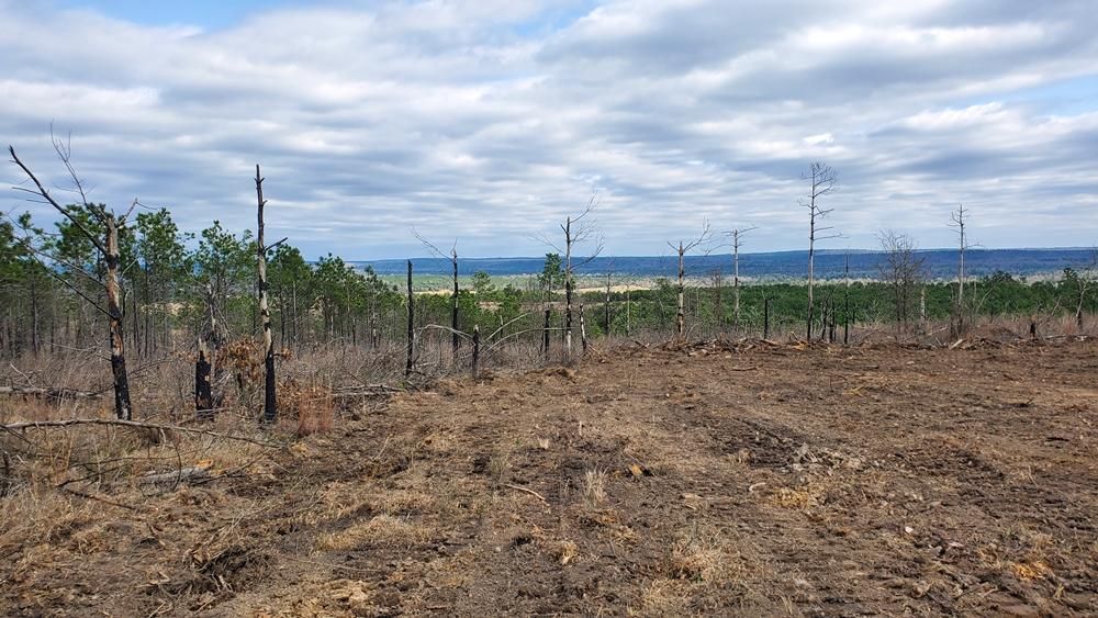 Rattan, Pushmataha County, OK Recreational Property, Timberland