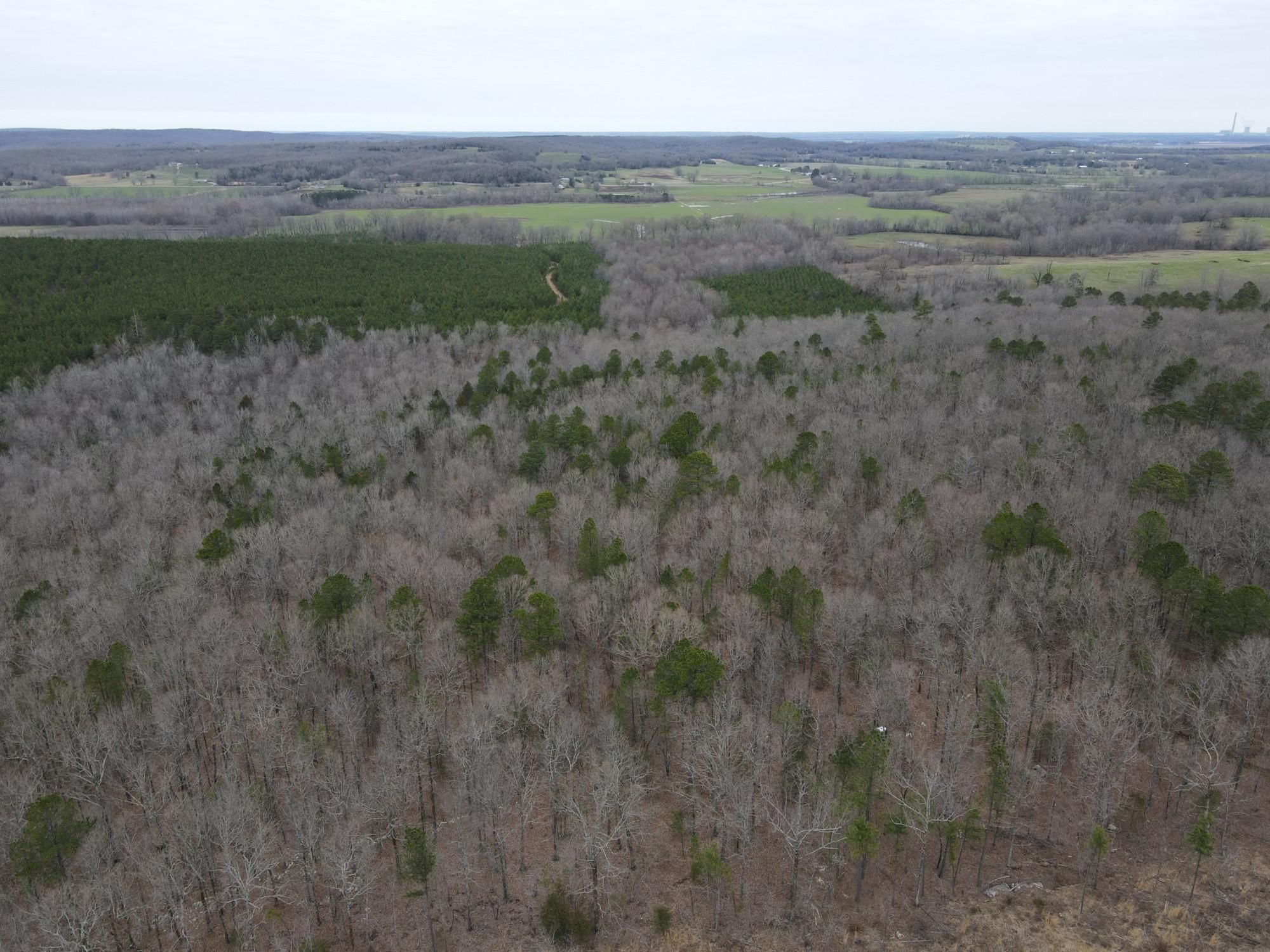 Thida, Independence County, AR Timberland Property, Undeveloped Land
