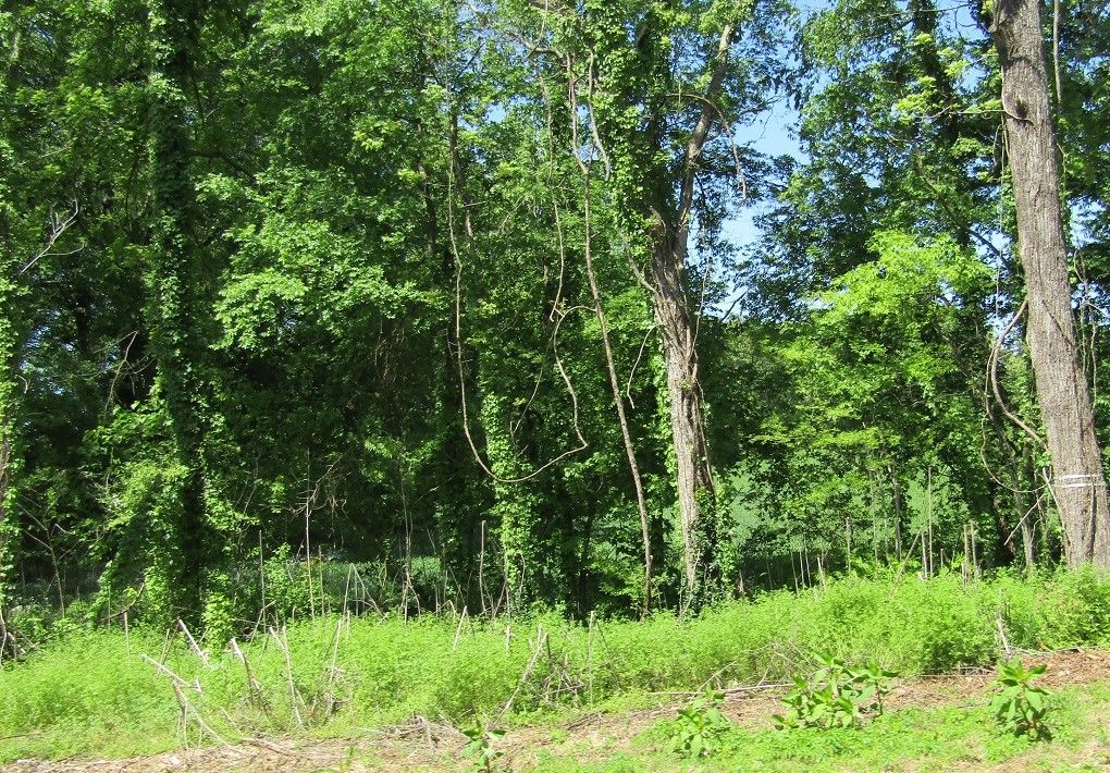 Muscle Shoals, Colbert County, AL Undeveloped Land for sale Property ID