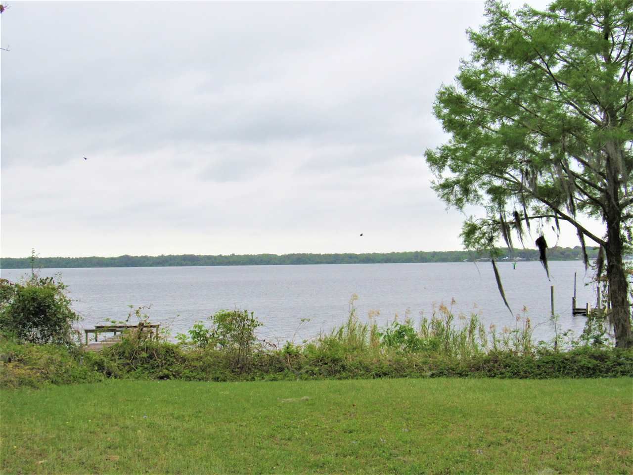 Palatka, Putnam County, FL Undeveloped Land, Lakefront Property