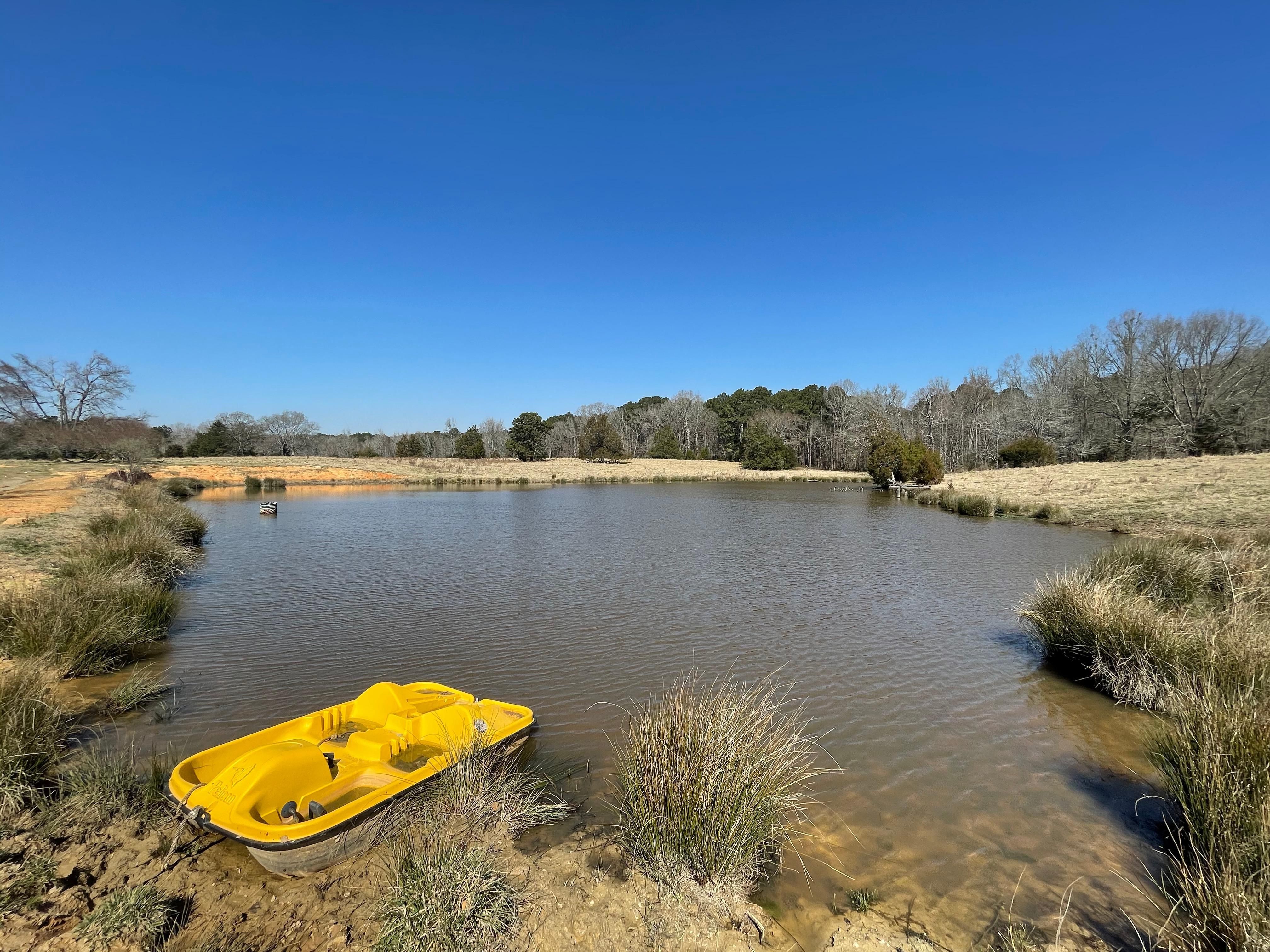 Crawfordville, Taliaferro County, GA Recreational Property, Hunting Property, House for sale