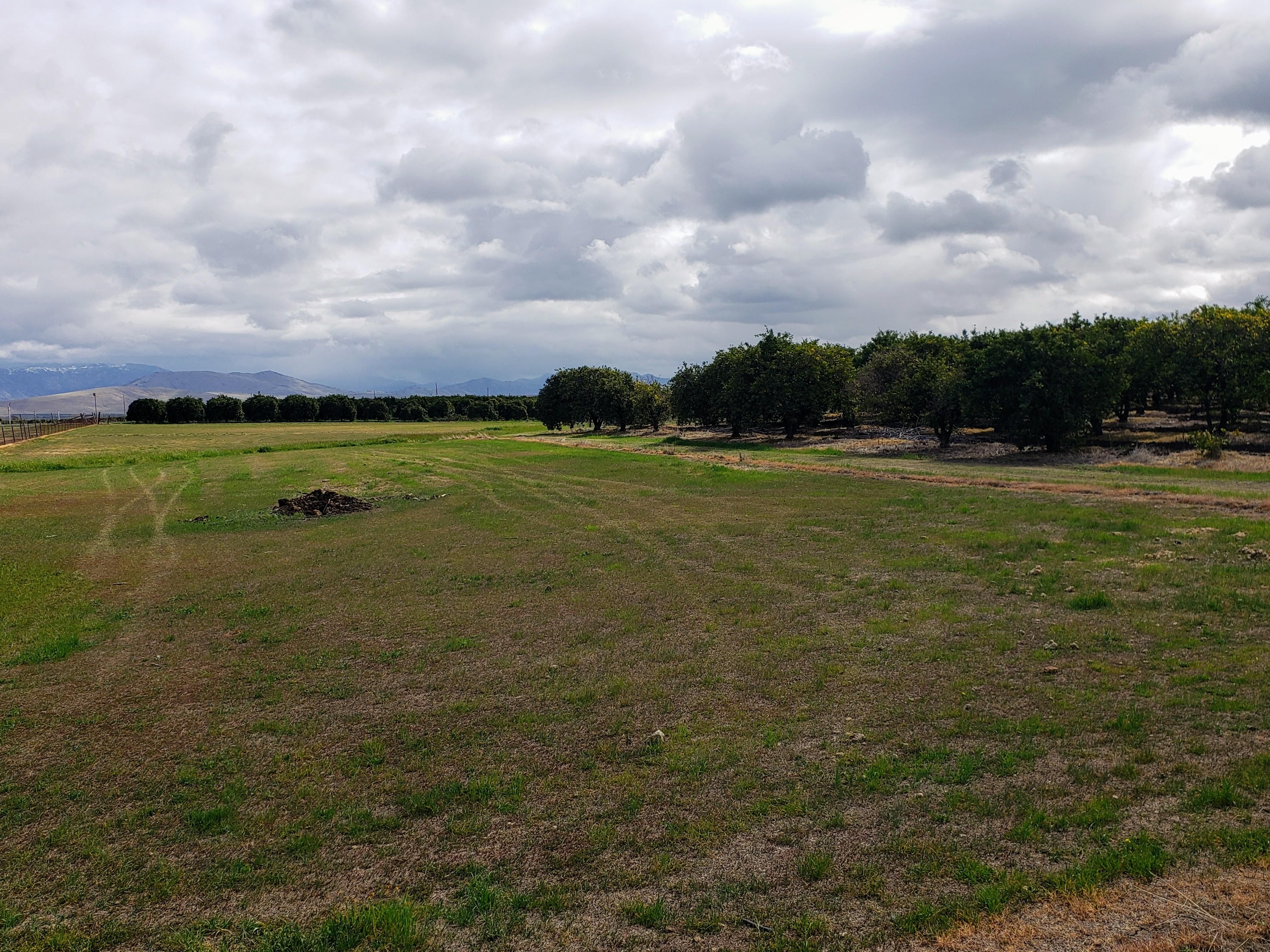 Terra Bella, Tulare County, CA Farms and Ranches for sale Property ID