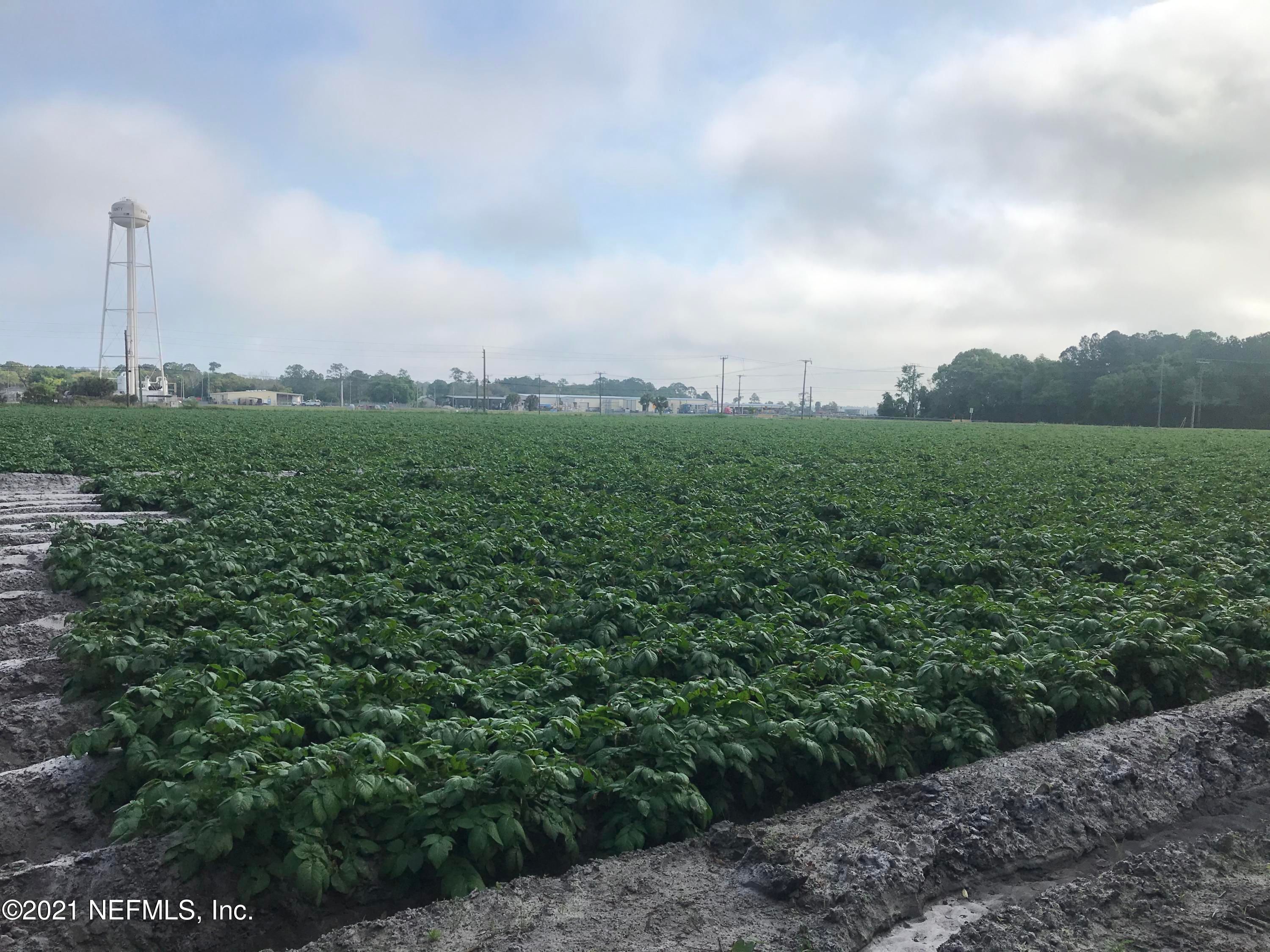 East Palatka, Putnam County, FL Undeveloped Land for sale Property ID
