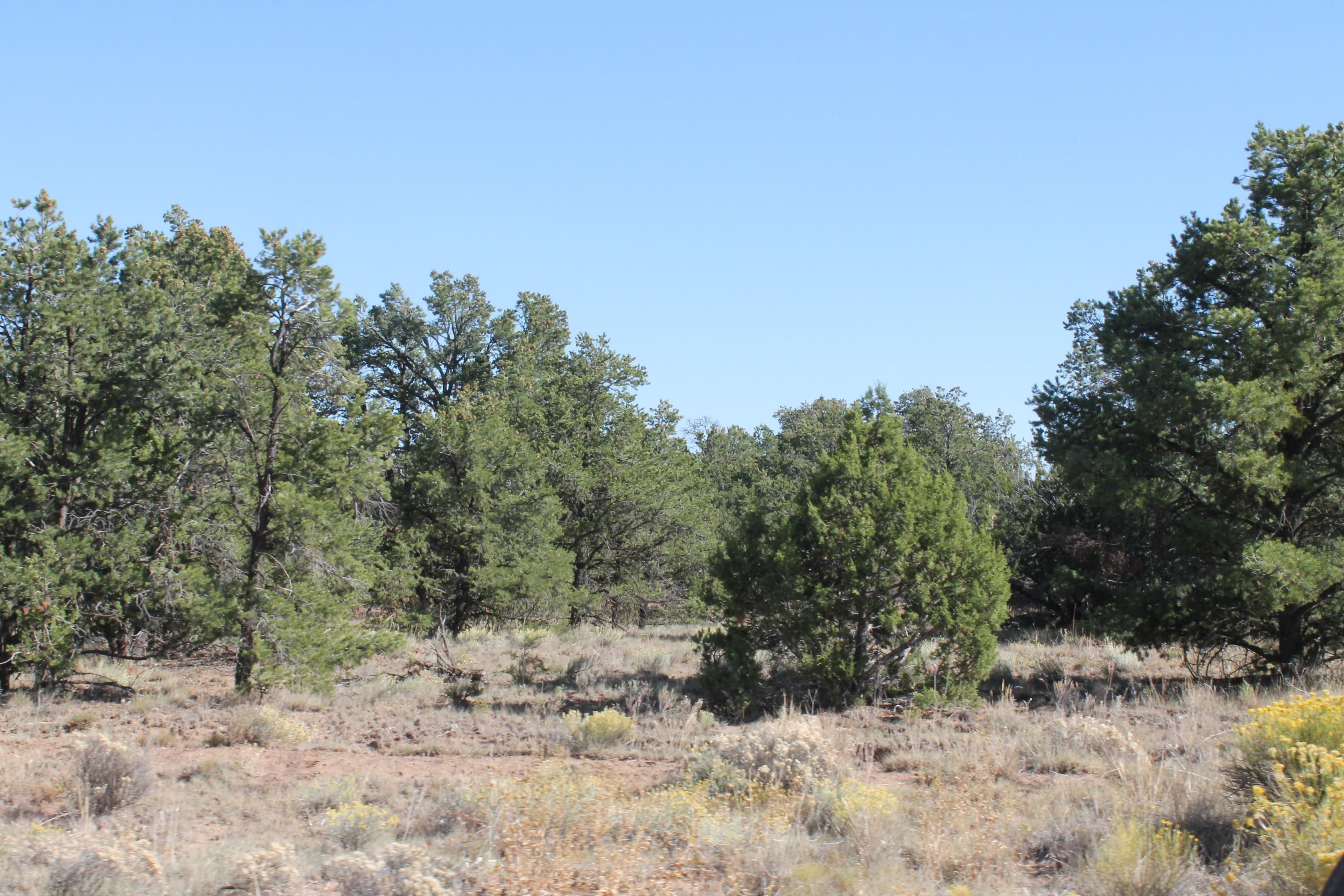 Fence Lake, Cibola County, NM Recreational Property, Commercial Property for sale Property ID