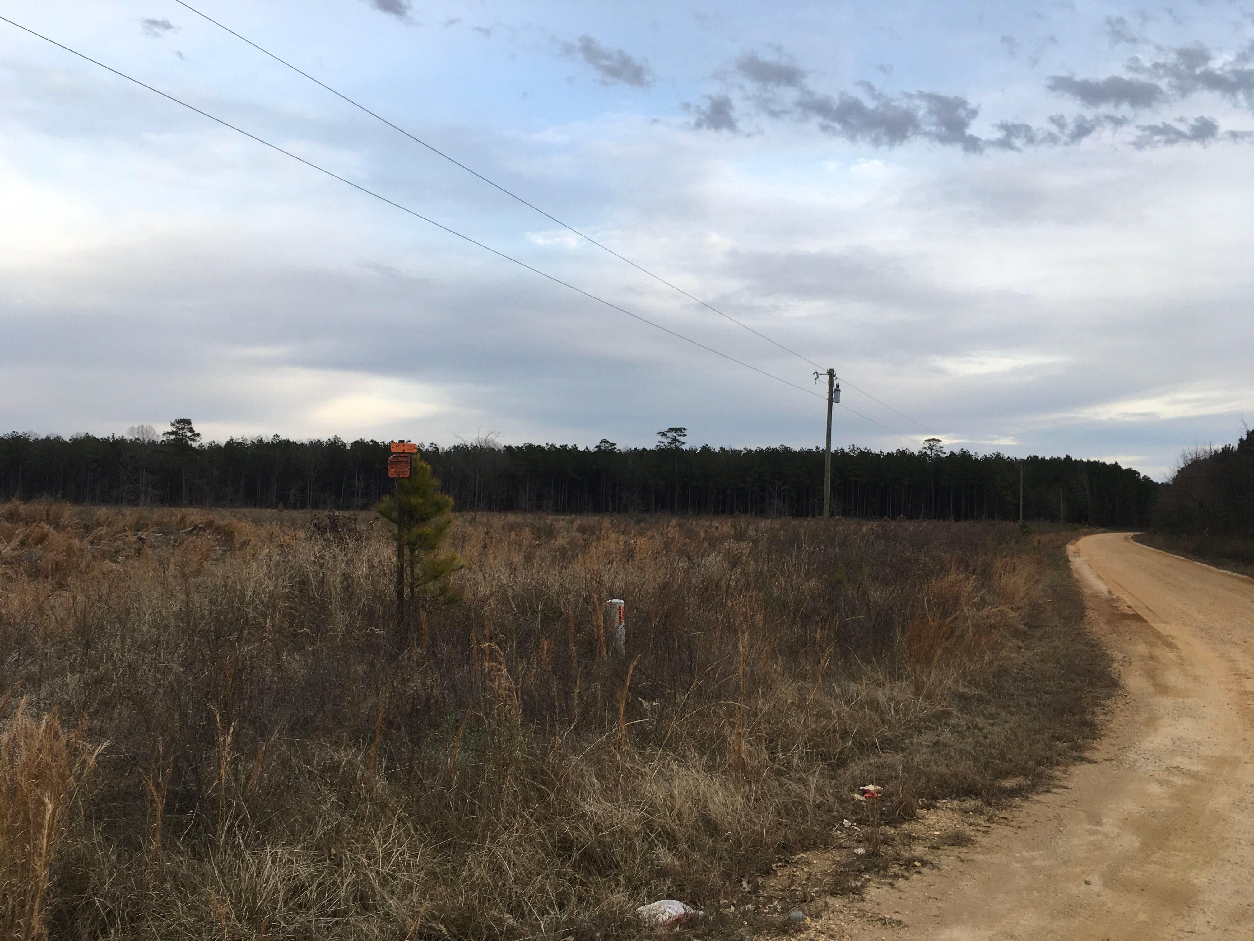 Hamburg, Ashley County, AR Recreational Property, Timberland Property for sale Property ID