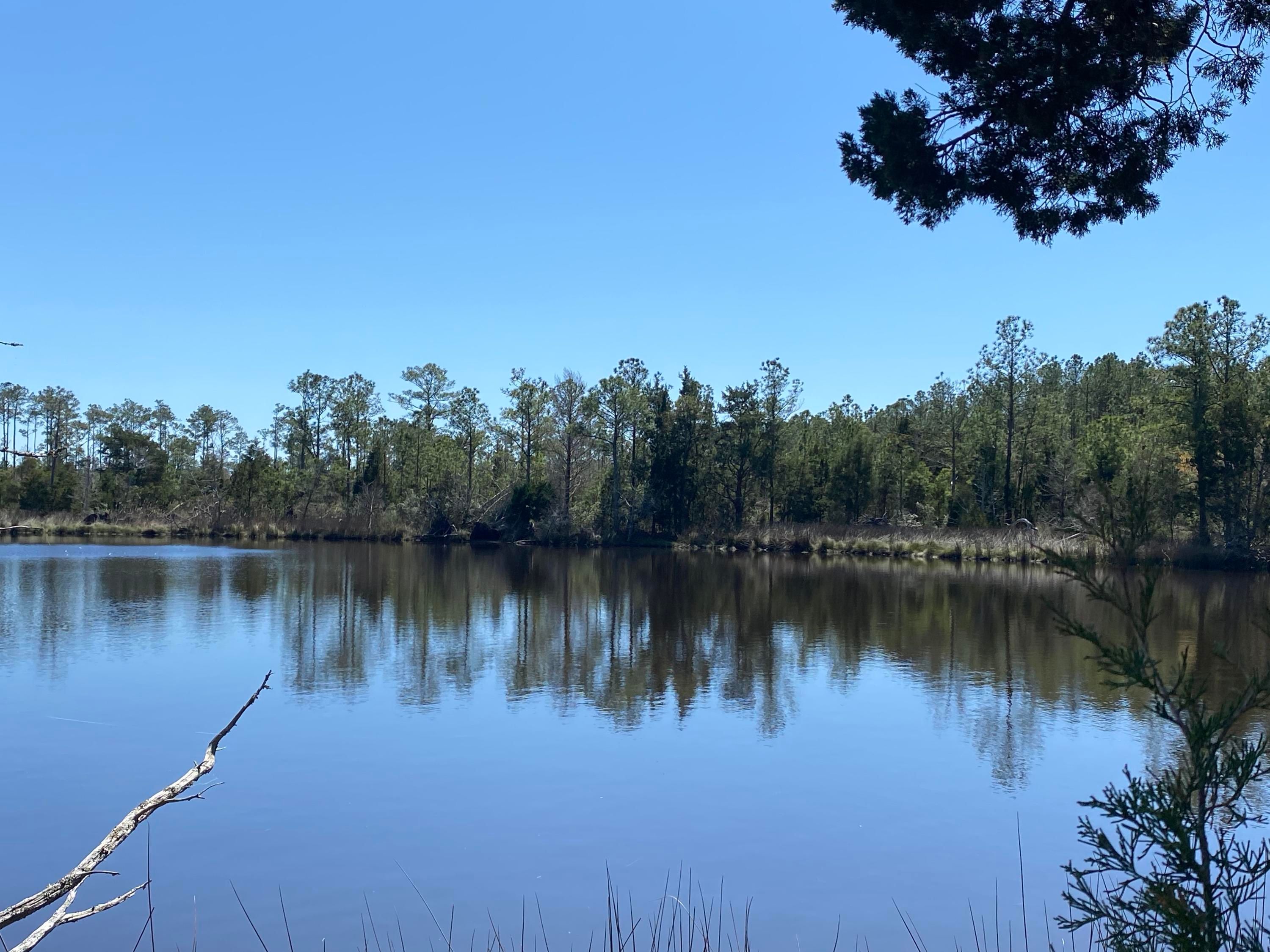 Mesic, Pamlico County, NC Undeveloped Land, Lakefront Property