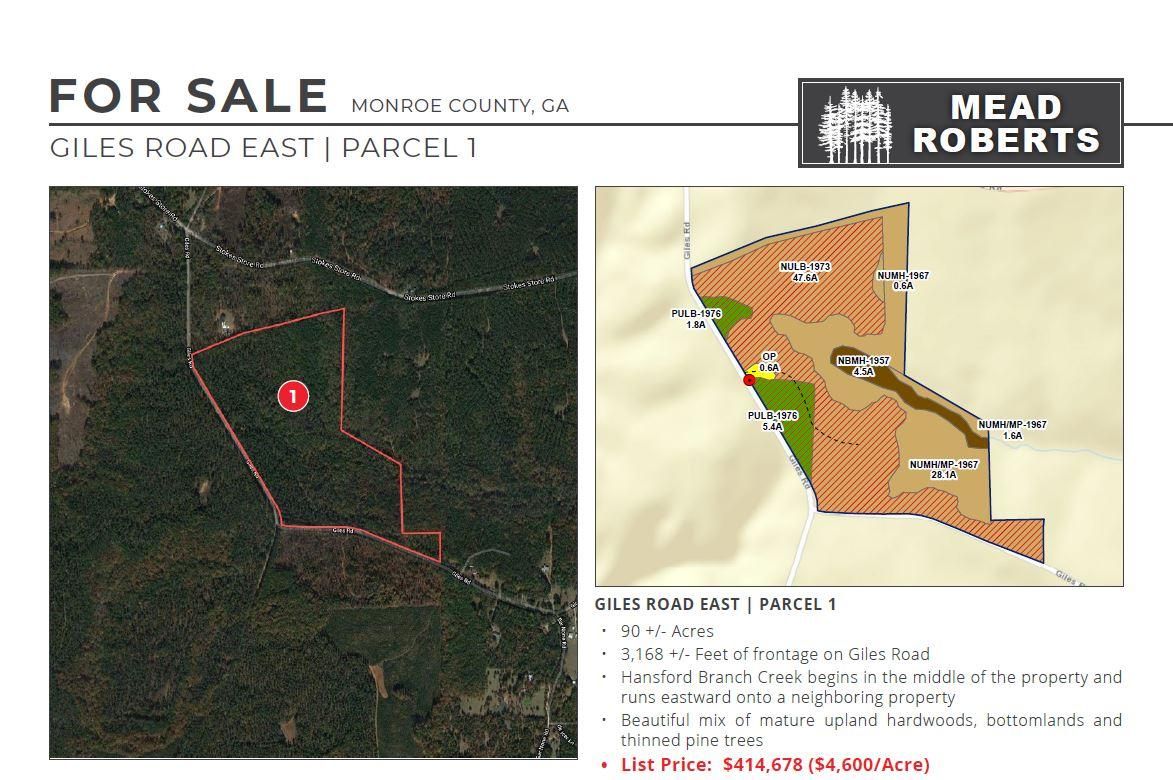 Forsyth, Monroe County, GA Recreational Property, Timberland Property