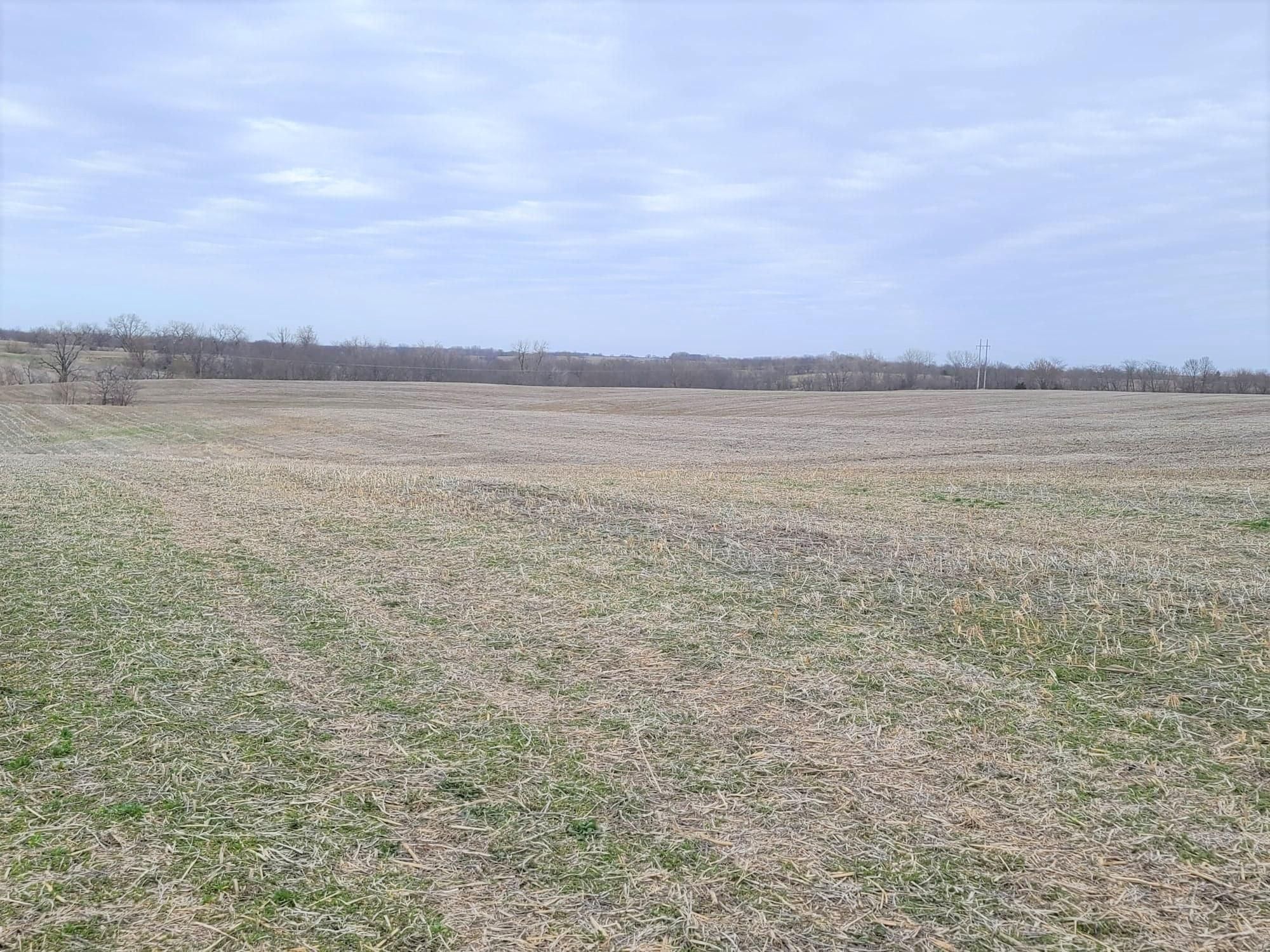 Mercer, Mercer County, MO Farms and Ranches for sale Property ID