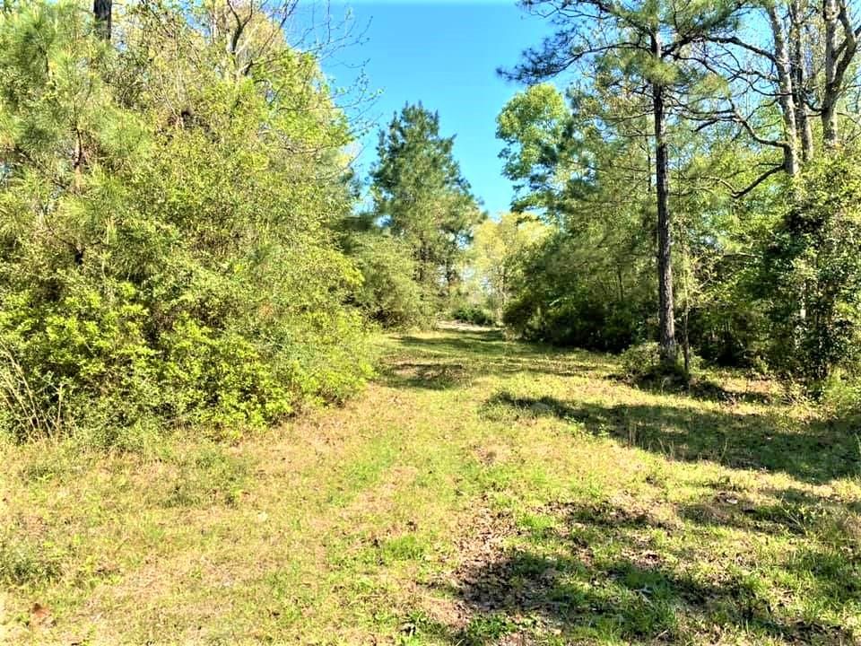 Hillister, Tyler County, TX Hunting Property, Horse Property for sale
