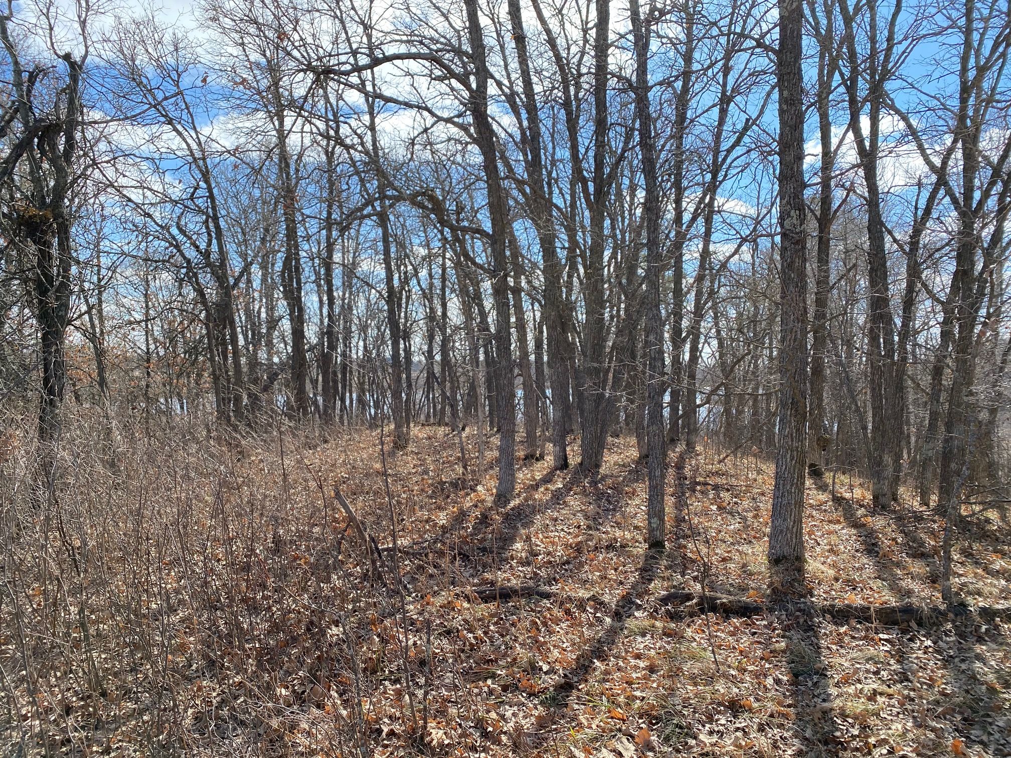 Bemidji, Beltrami County, MN Undeveloped Land, Homesites for sale