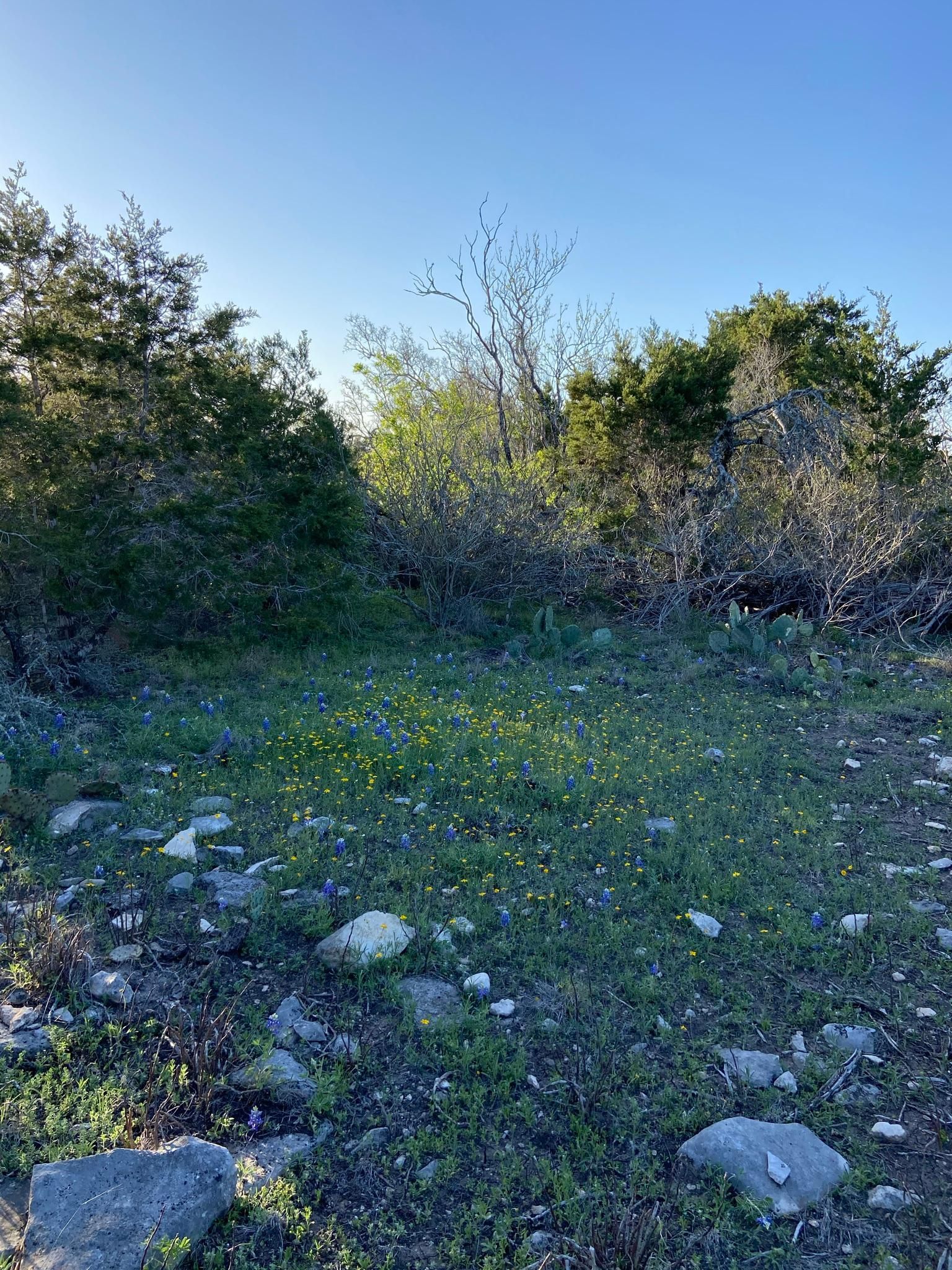 Brackettville, Kinney County, TX Recreational Property, Hunting Property for sale Property ID