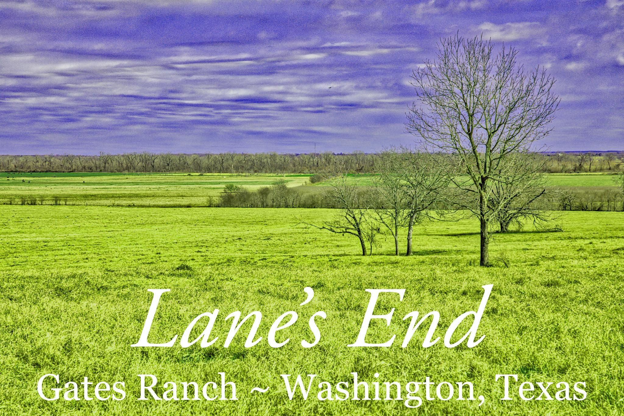 Washington, Washington County, TX Farms and Ranches, Undeveloped Land