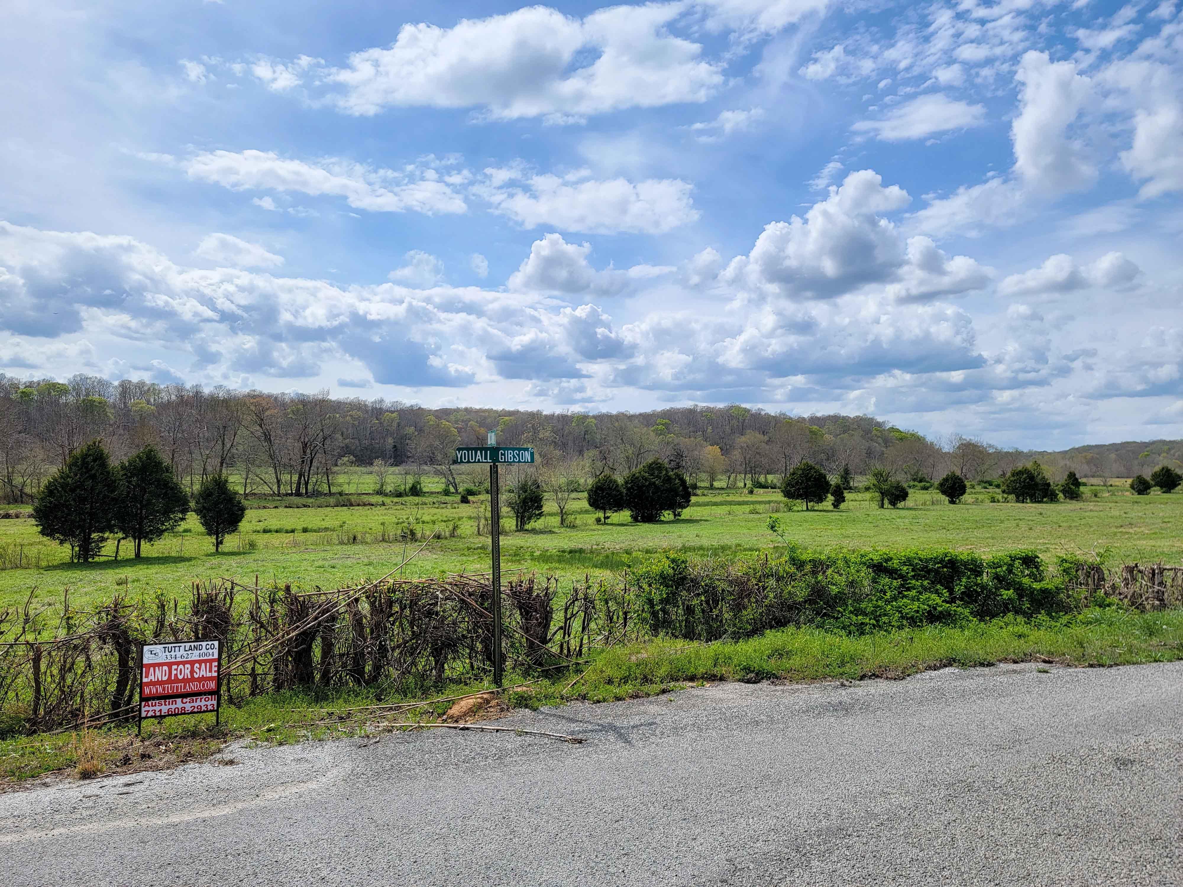 Holladay, Decatur County, TN Farms and Ranches, Timberland Property